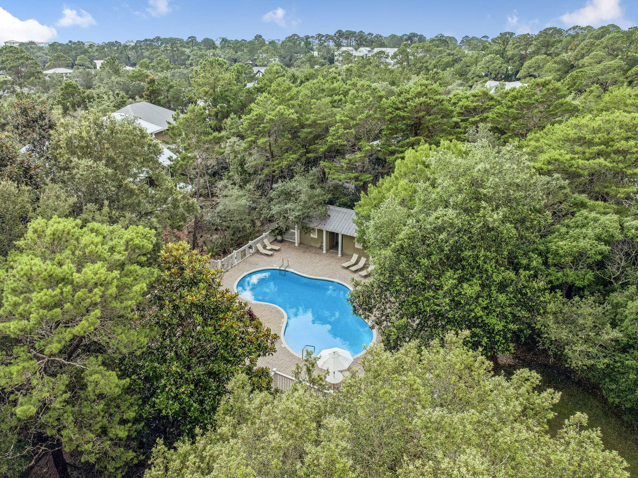 142 Wilderness Way Santa Rosa Beach FL 32459