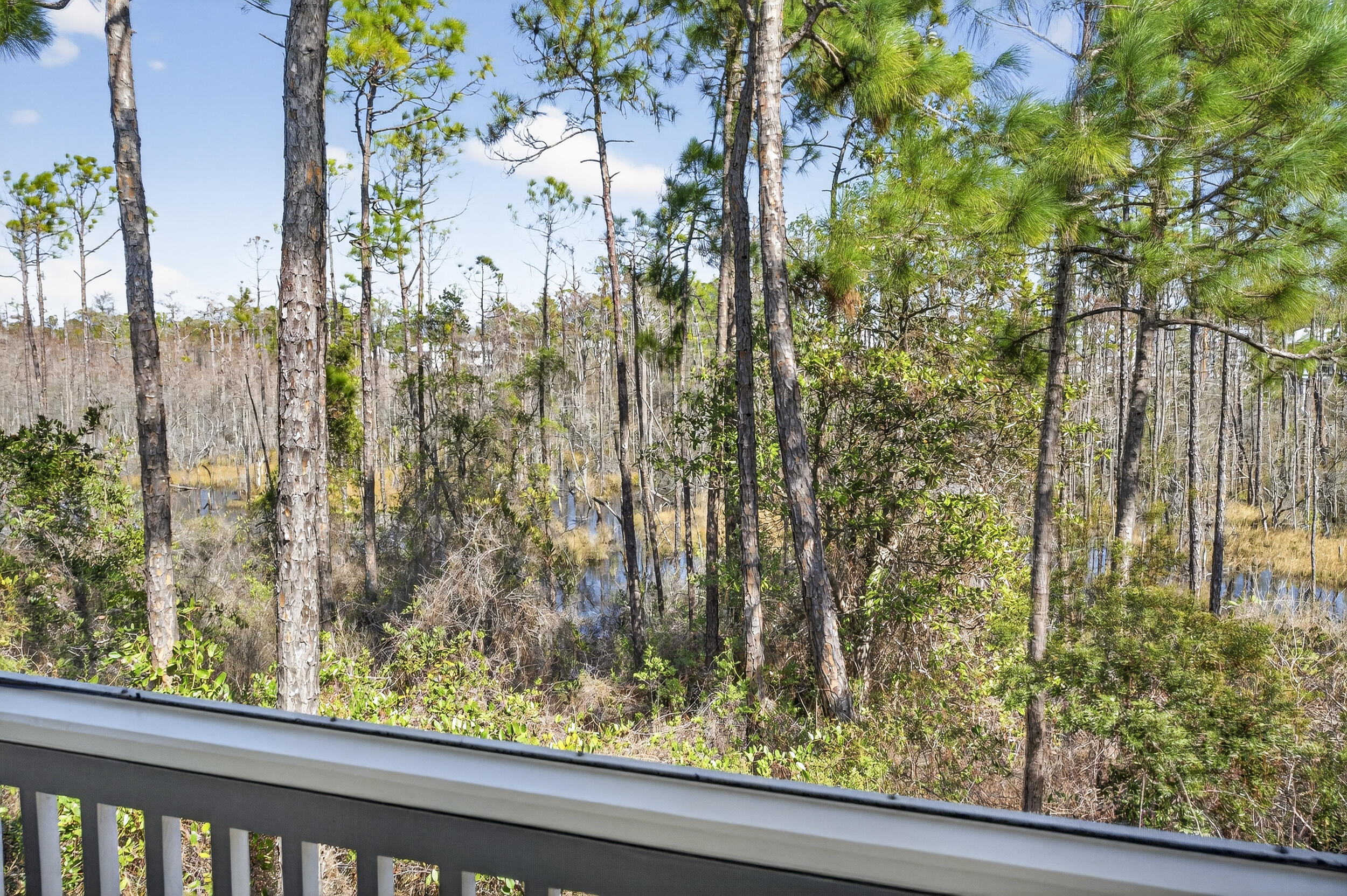 613 Flatwoods Forest Loop Santa Rosa Beach FL 32459