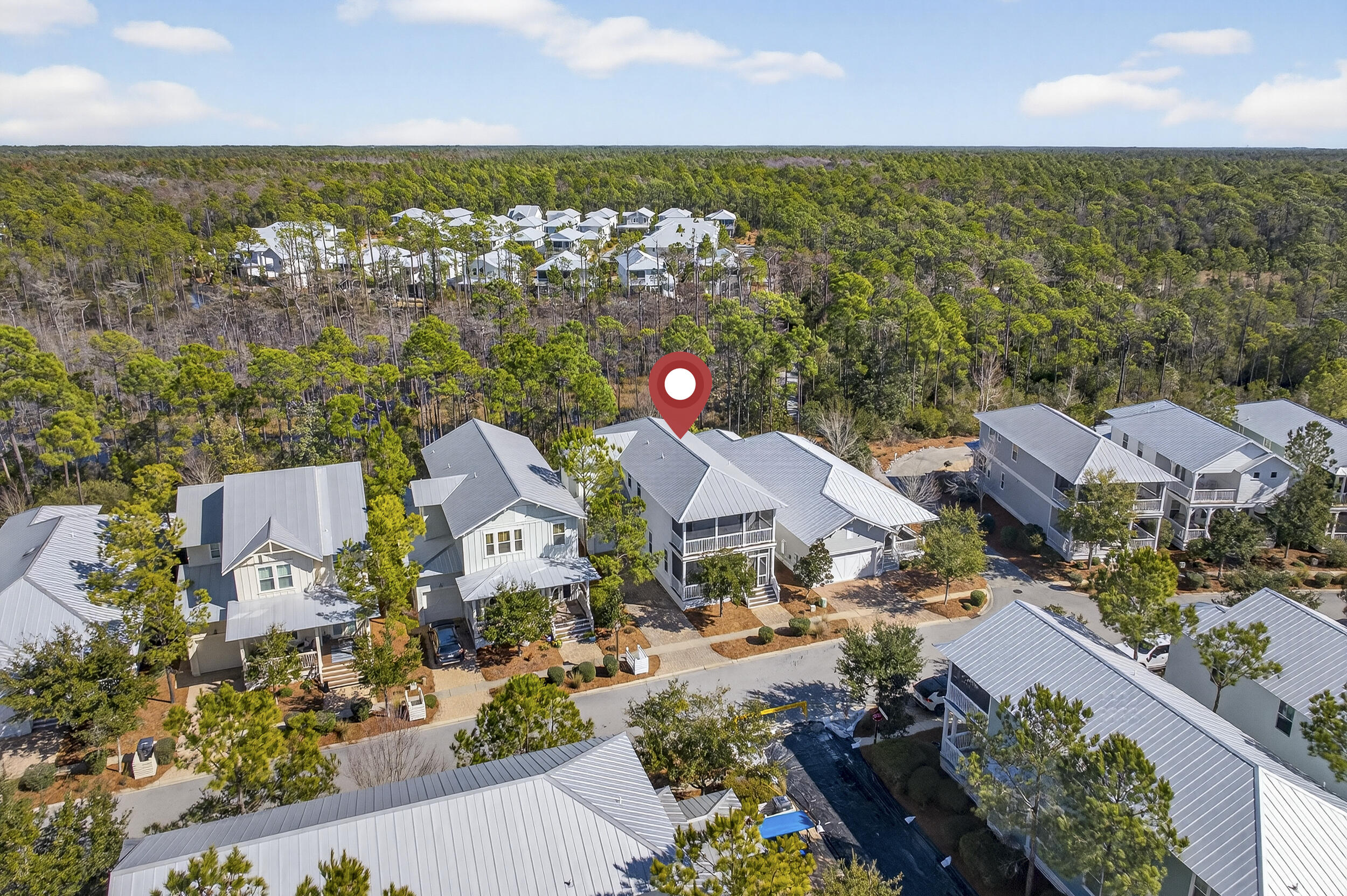 613 Flatwoods Forest Loop Santa Rosa Beach FL 32459