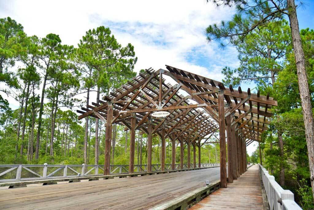 34 Chordgrass Way Santa Rosa Beach FL 32459