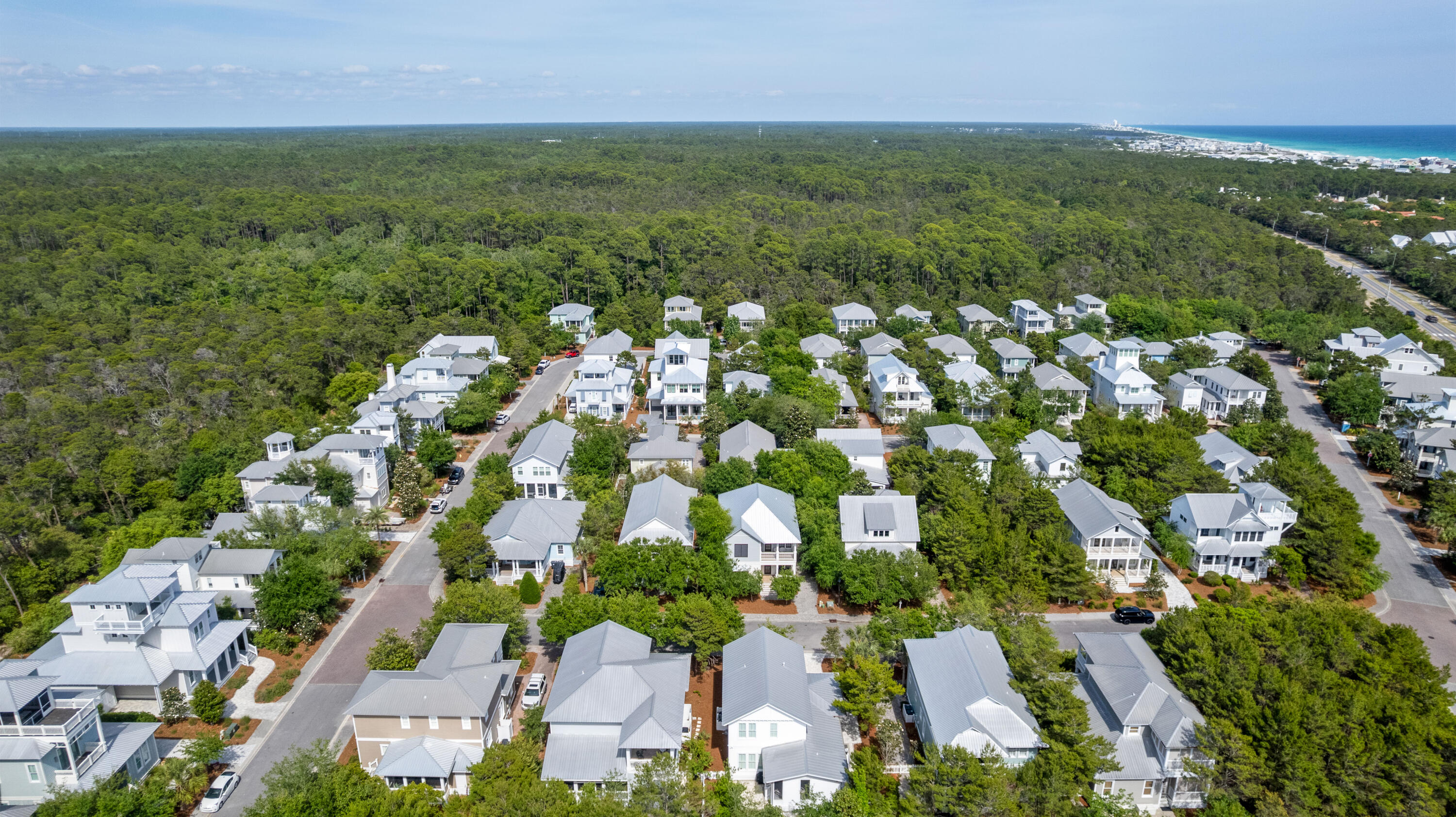 52 Bentley Lane Santa Rosa Beach FL 32459