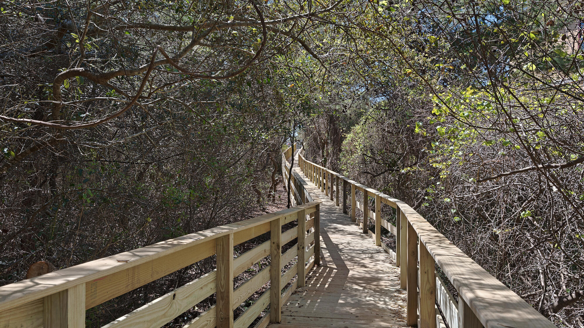 52 Bentley Lane Santa Rosa Beach FL 32459