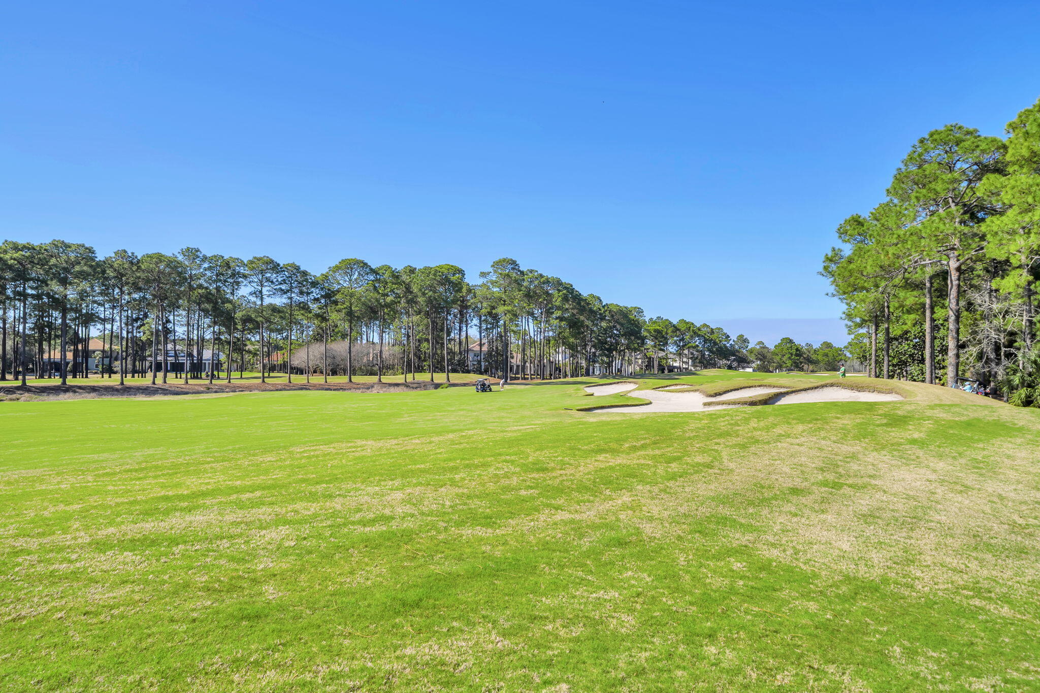 2521 Vineyard Lane Miramar Beach FL 32550