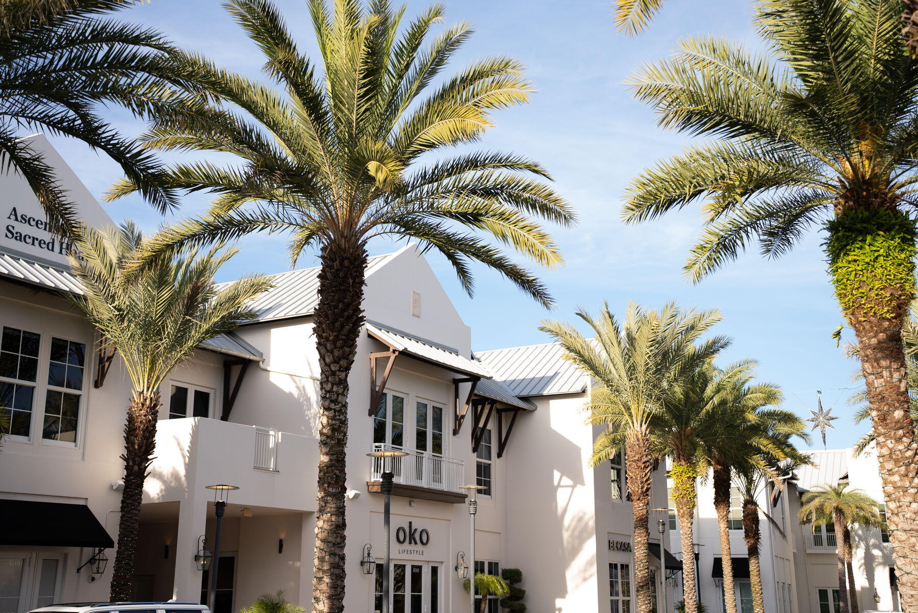 34 W Majestic Palm Drive Inlet Beach FL 32461