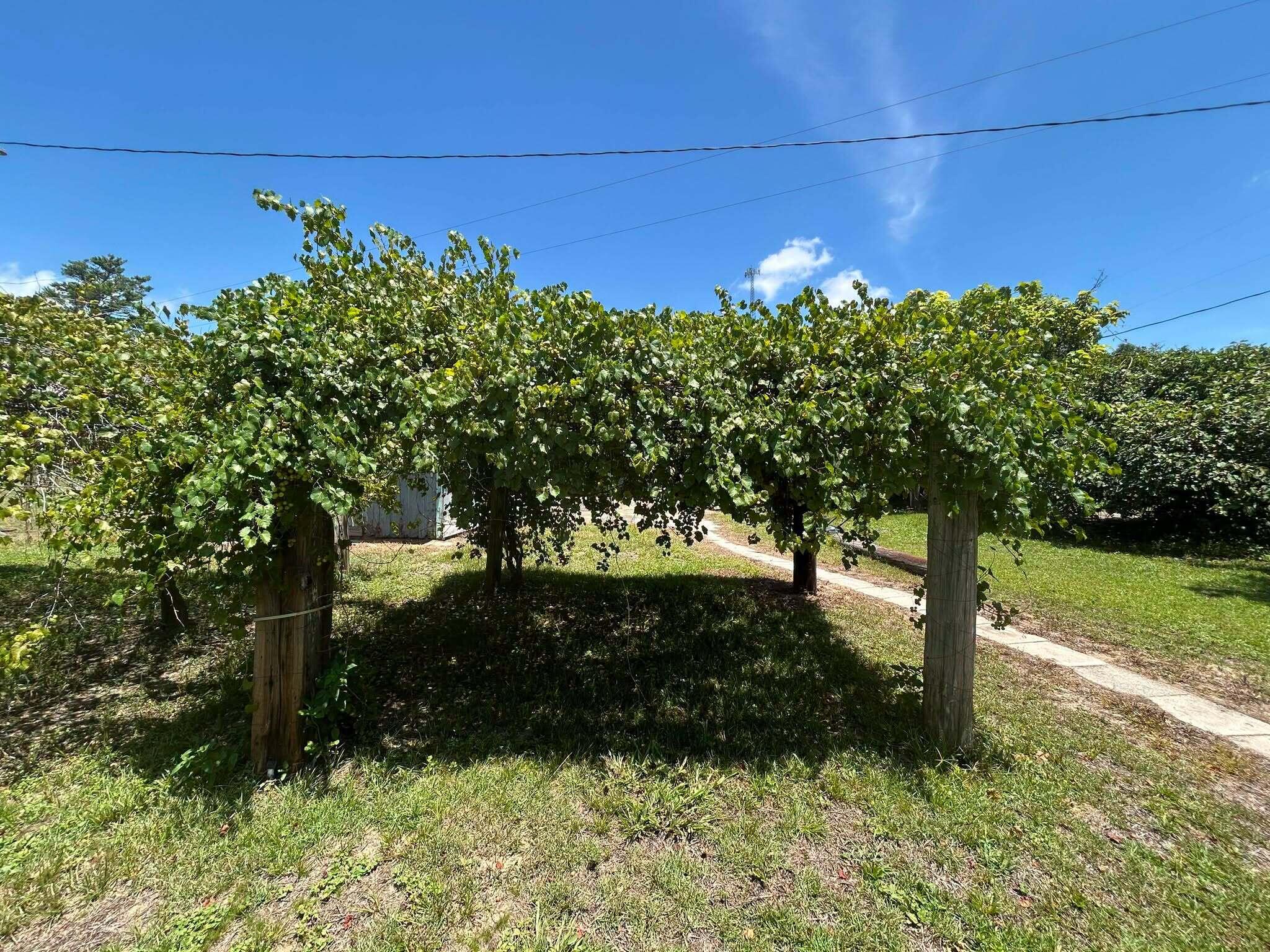 245 S Tram Road Ponce De Leon FL 32455