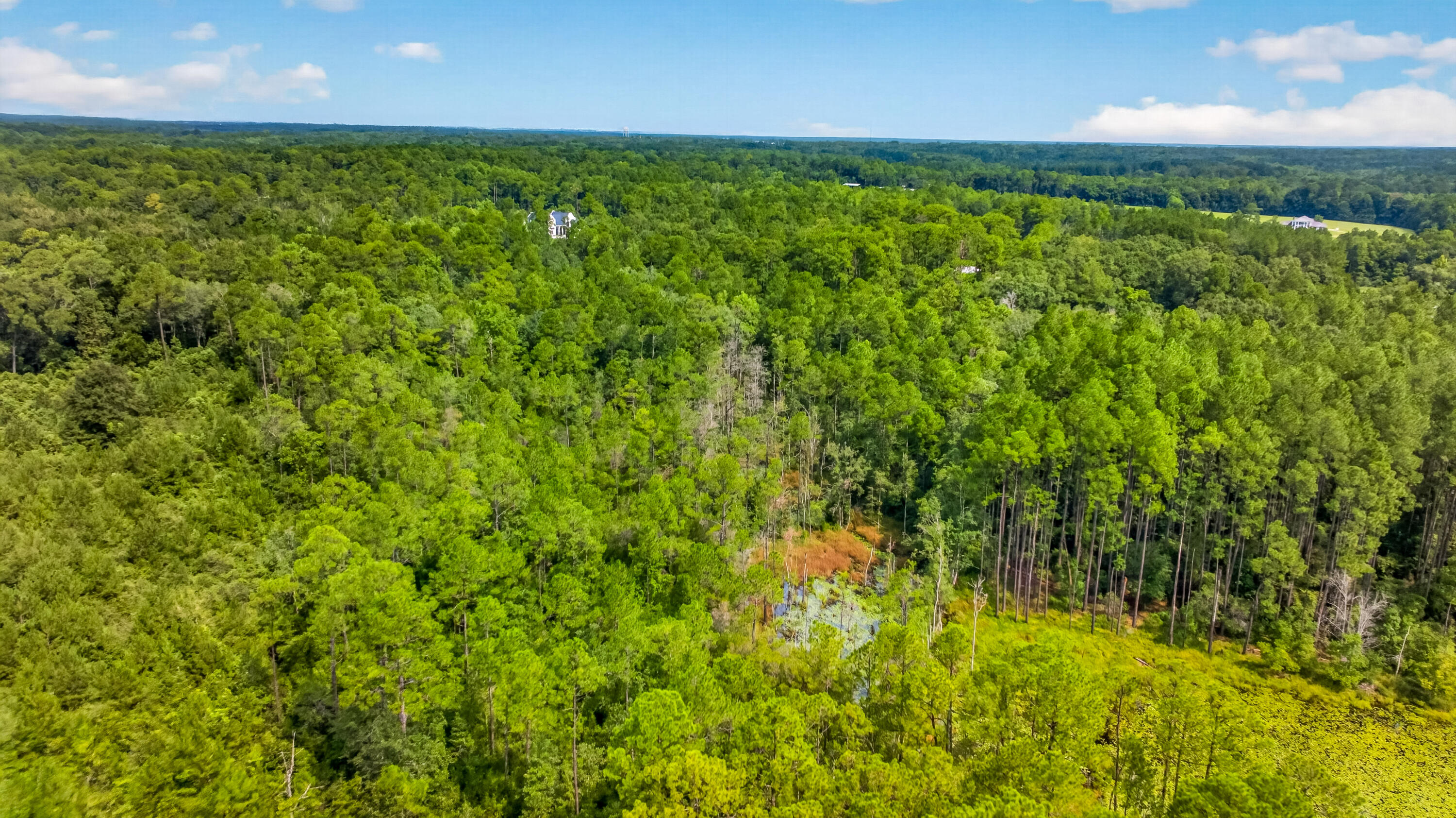 1694 Co Hwy 280a Defuniak Springs FL 32435