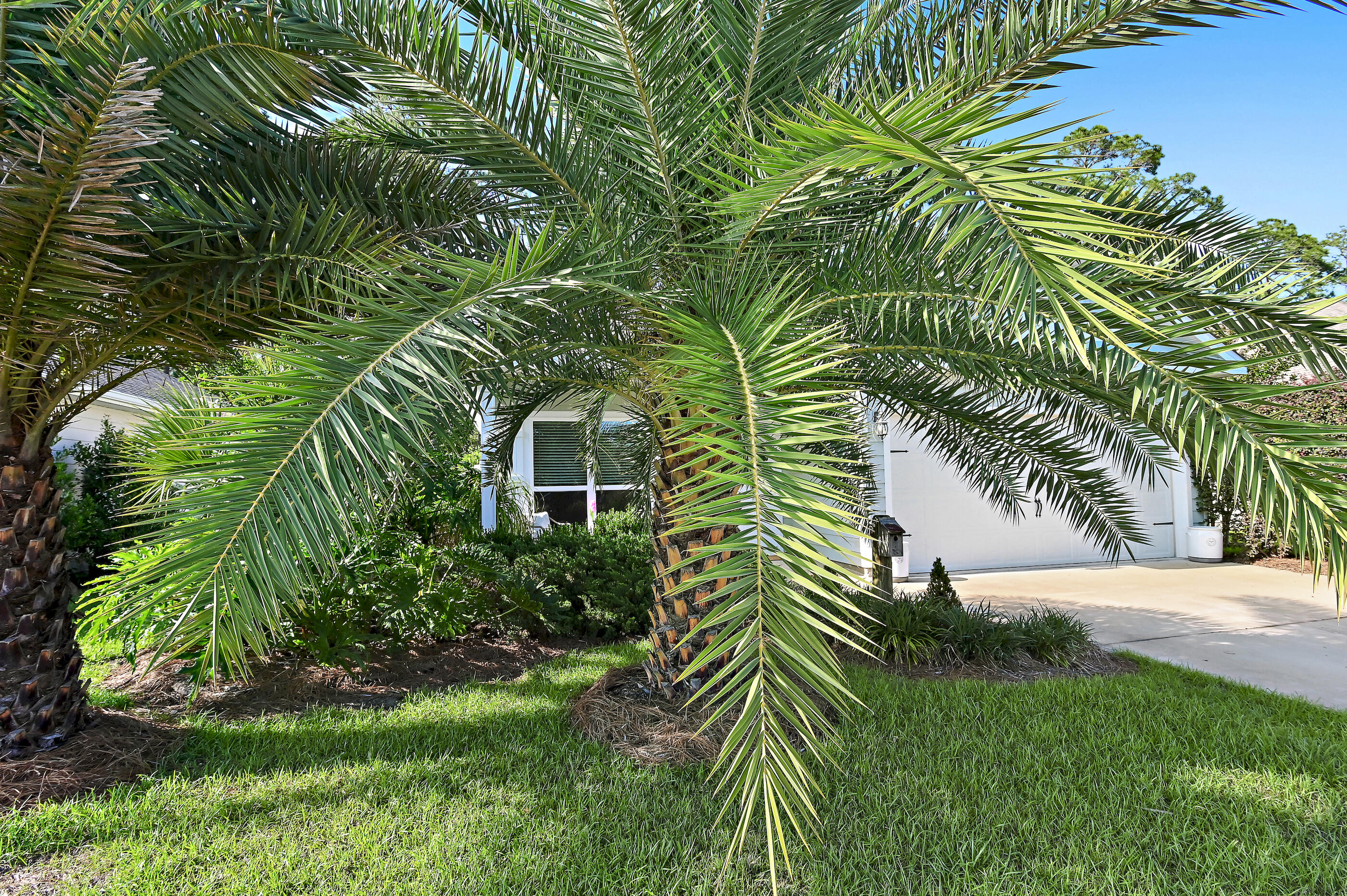 239 Southern Pines Road Santa Rosa Beach FL 32459