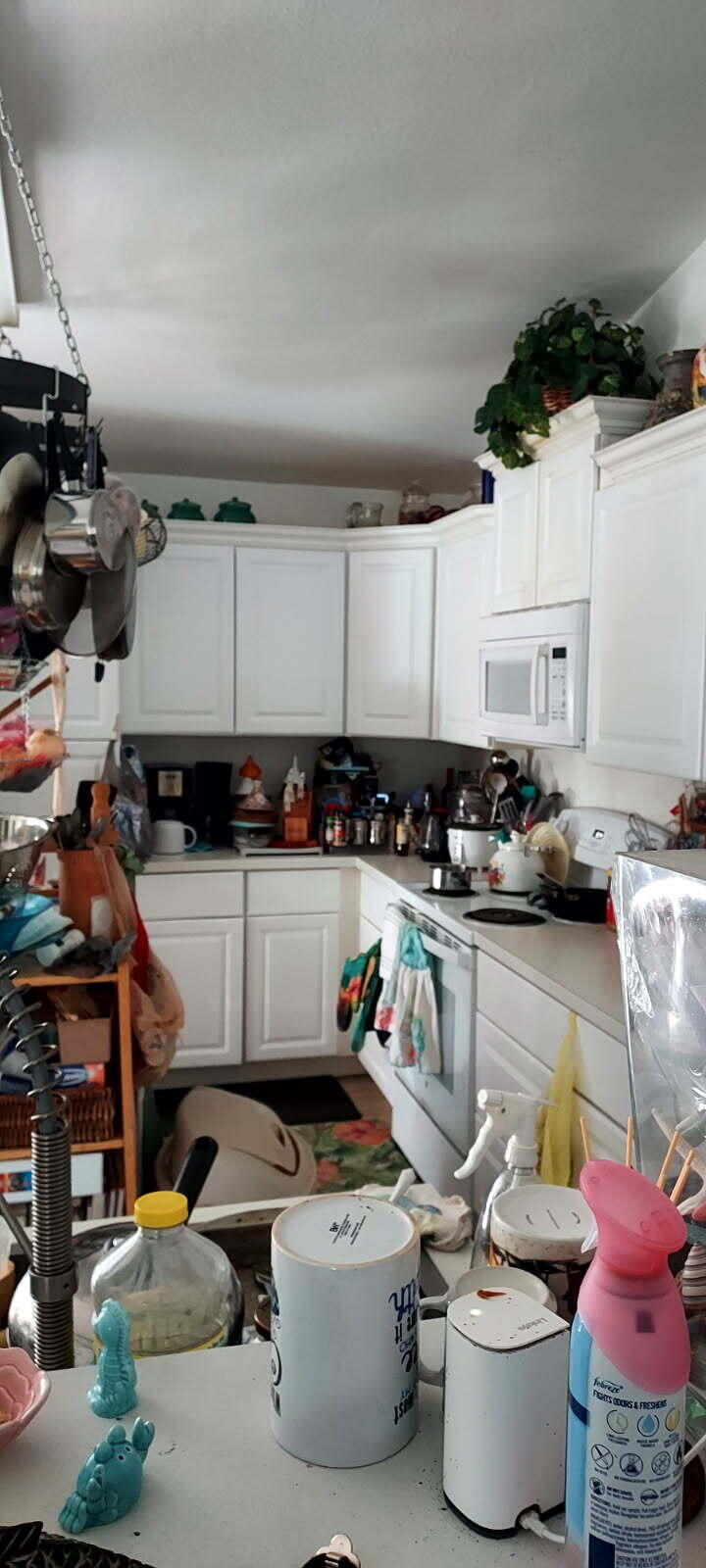 215 Oak Circle Other FL N/A