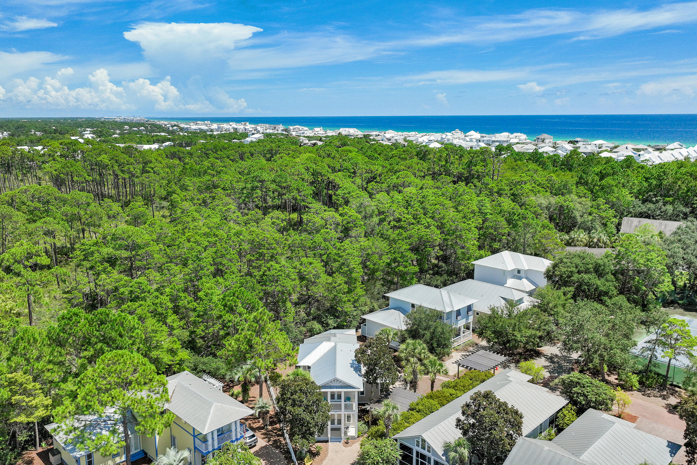 62 Dune Rosemary Court Santa Rosa Beach FL 32459
