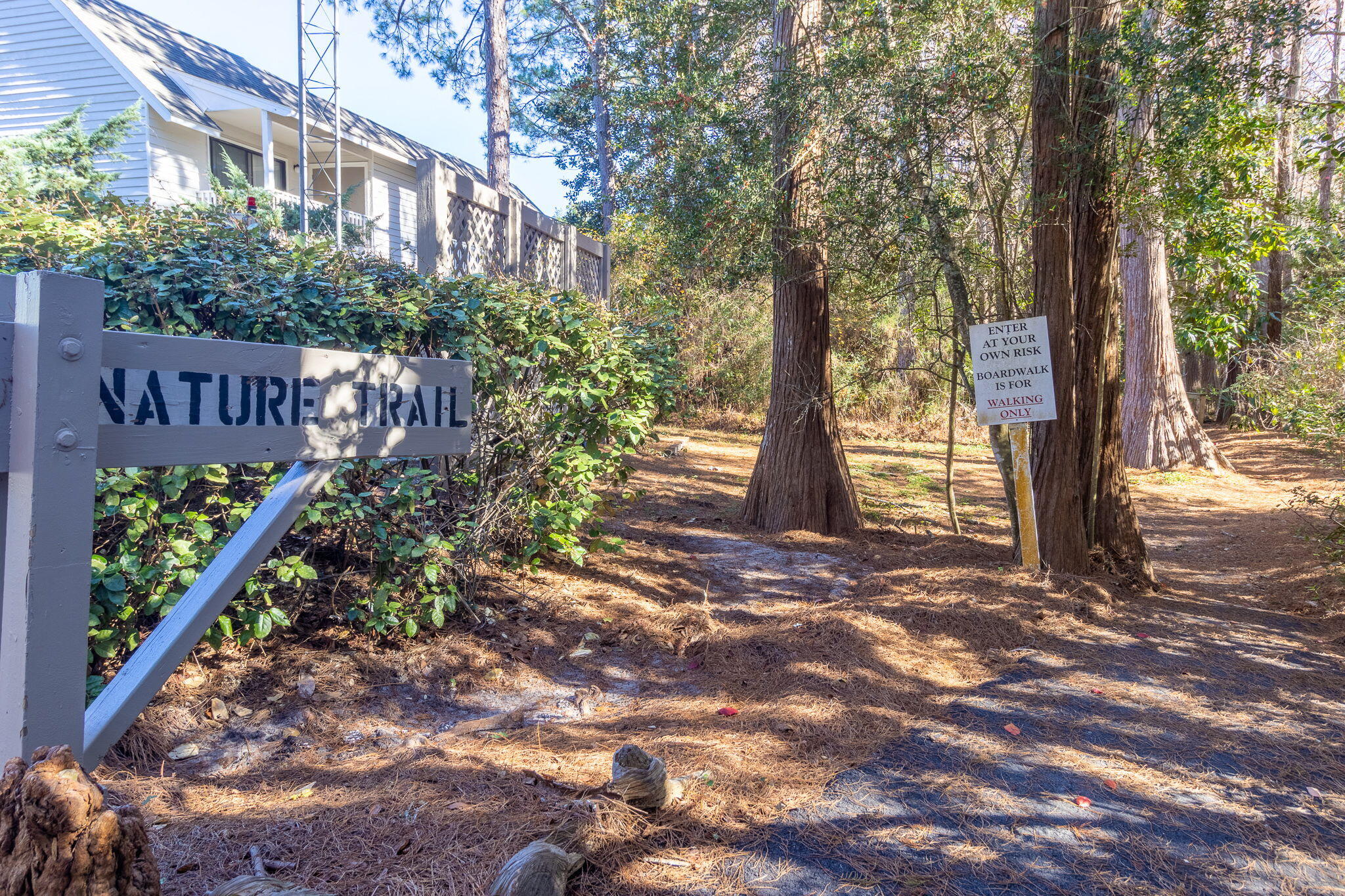 62 Dune Rosemary Court Santa Rosa Beach FL 32459