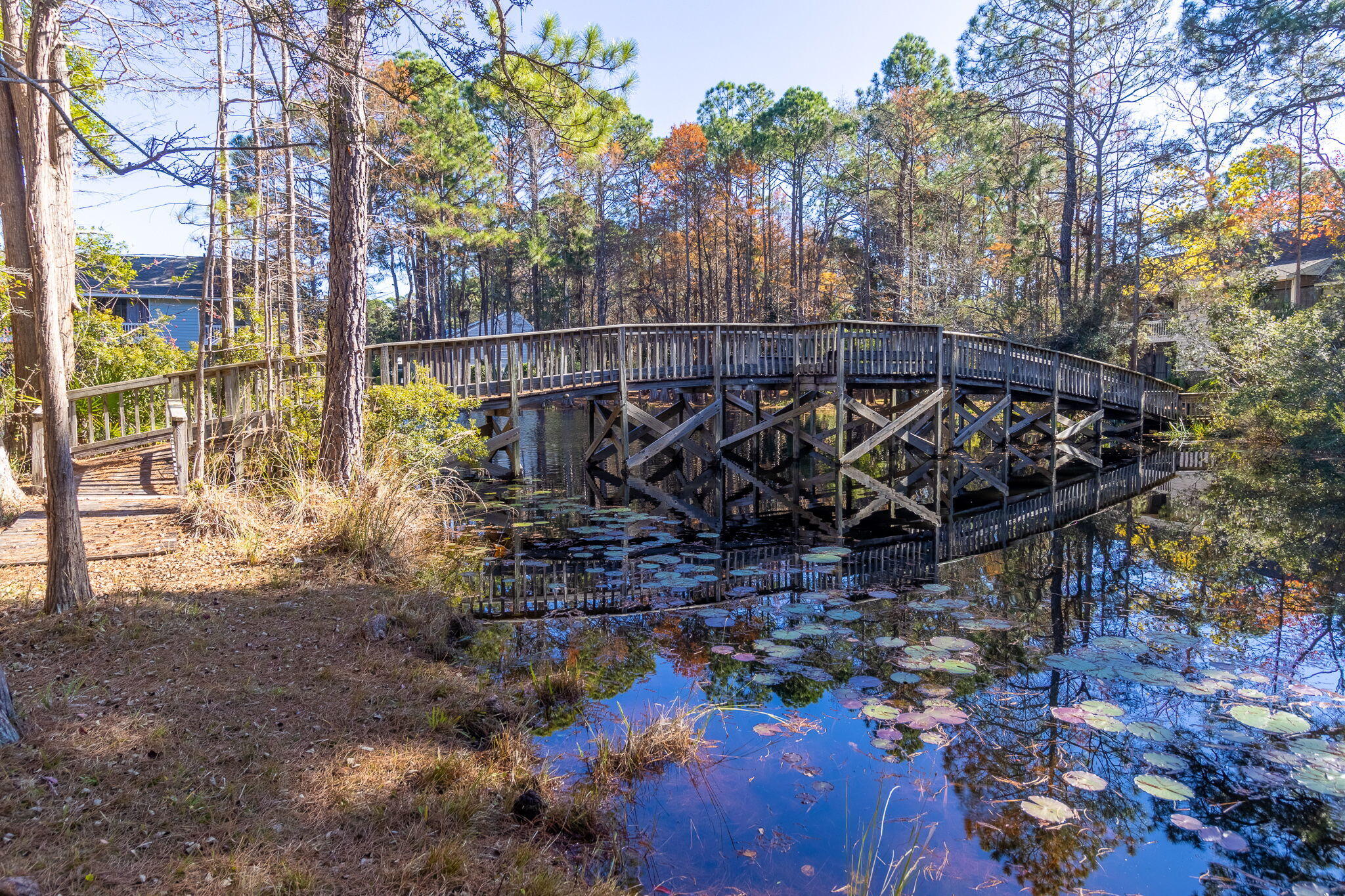 62 Dune Rosemary Court Santa Rosa Beach FL 32459
