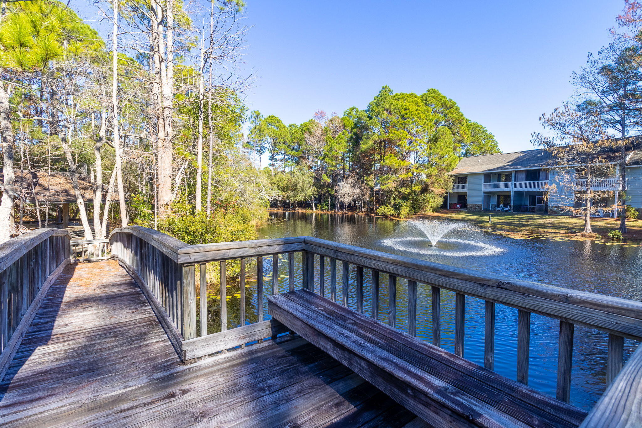 62 Dune Rosemary Court Santa Rosa Beach FL 32459