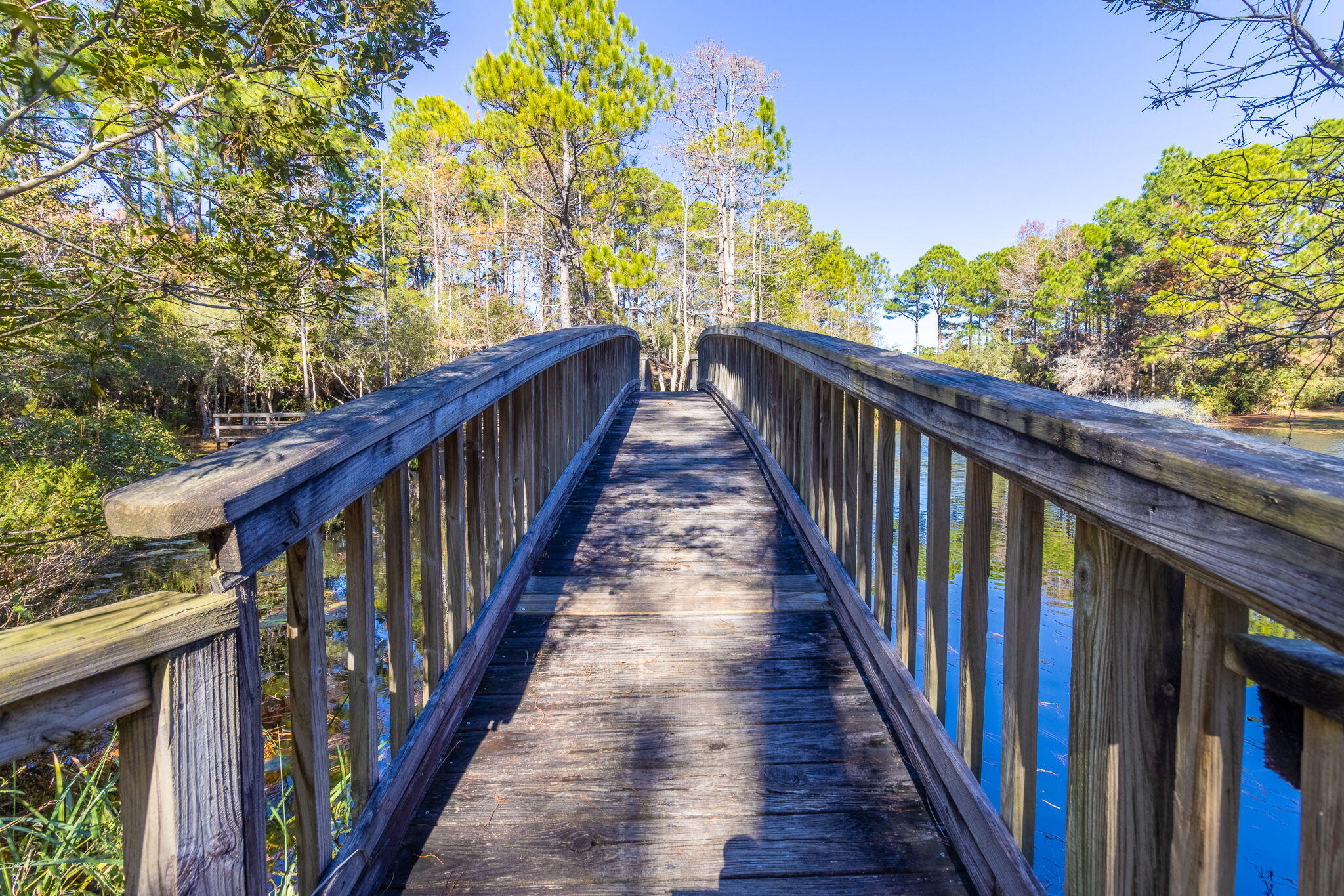 62 Dune Rosemary Court Santa Rosa Beach FL 32459