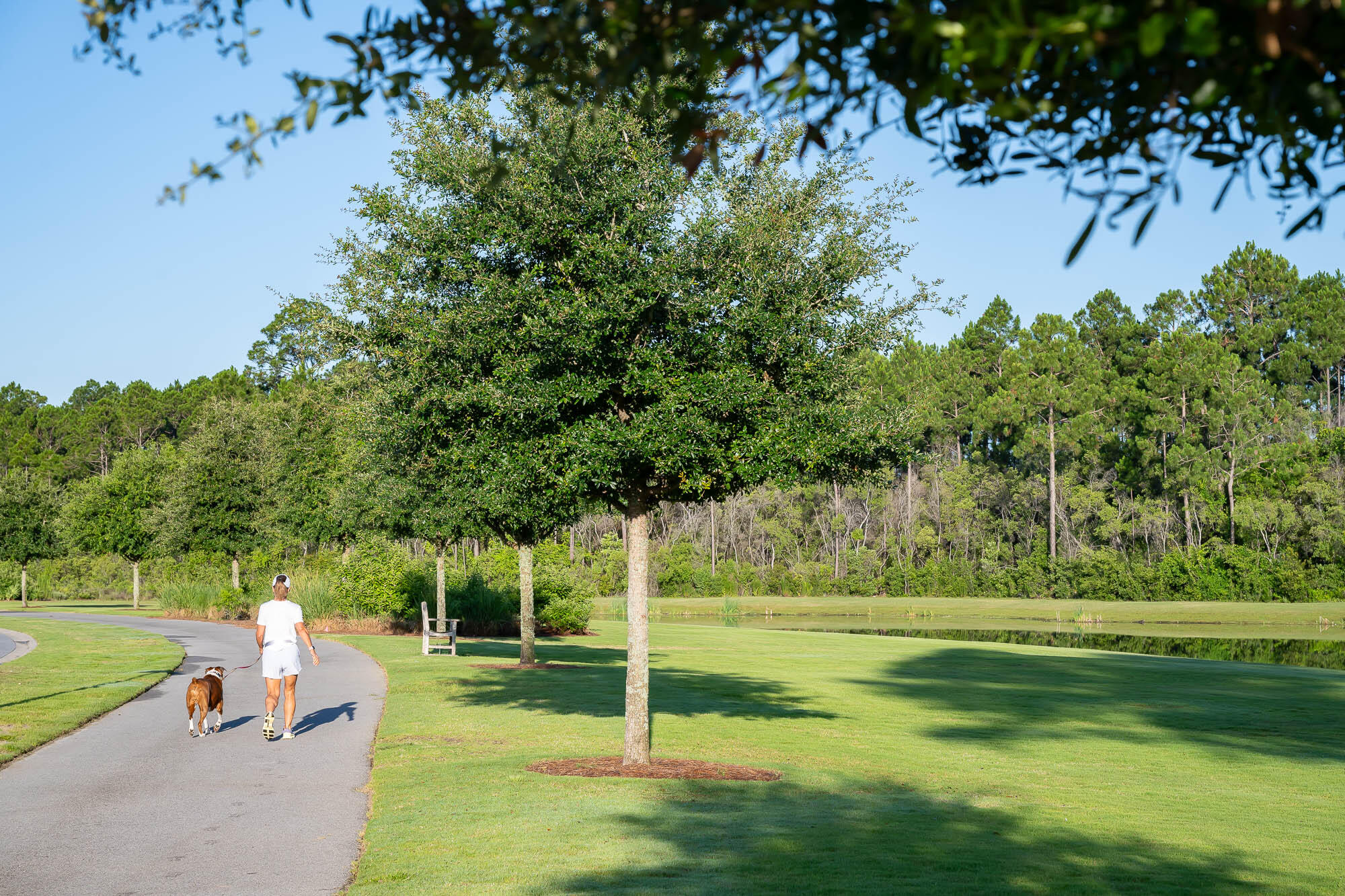 Tbd Suwannee Drive Watersound FL 32461