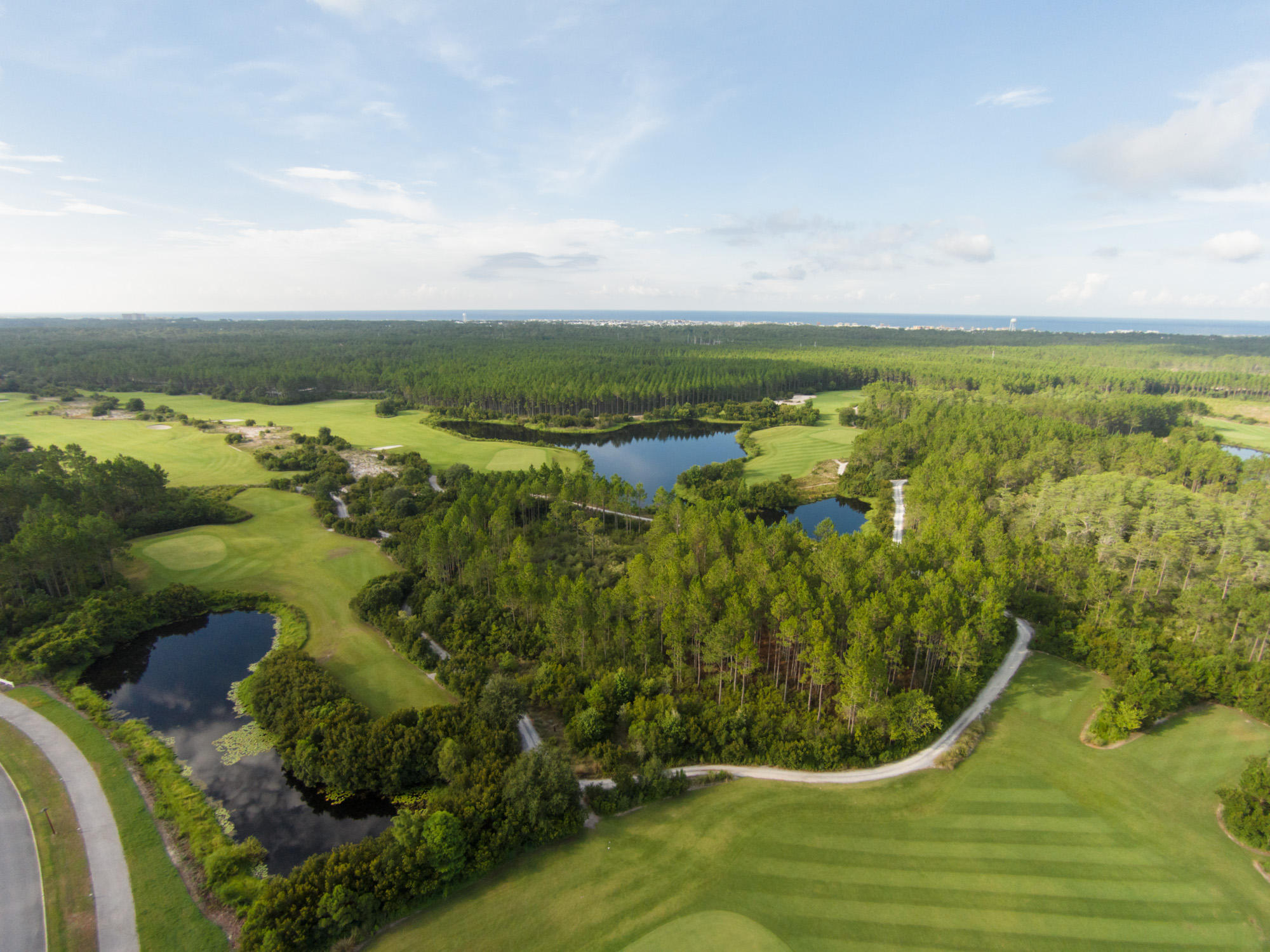 Tbd Suwannee Drive Watersound FL 32461