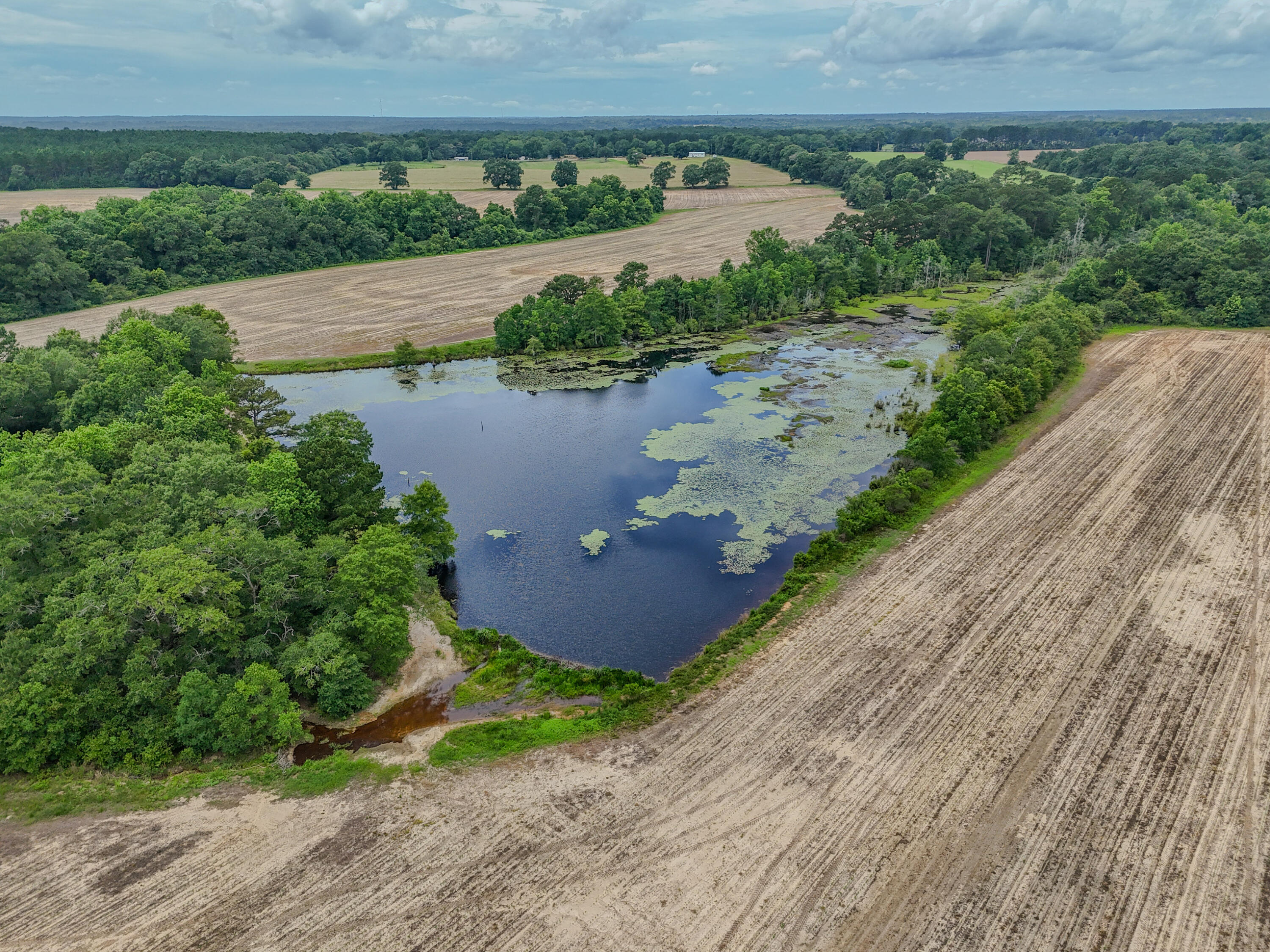 8116 Highway 393 Highway Laurel Hill FL 32567