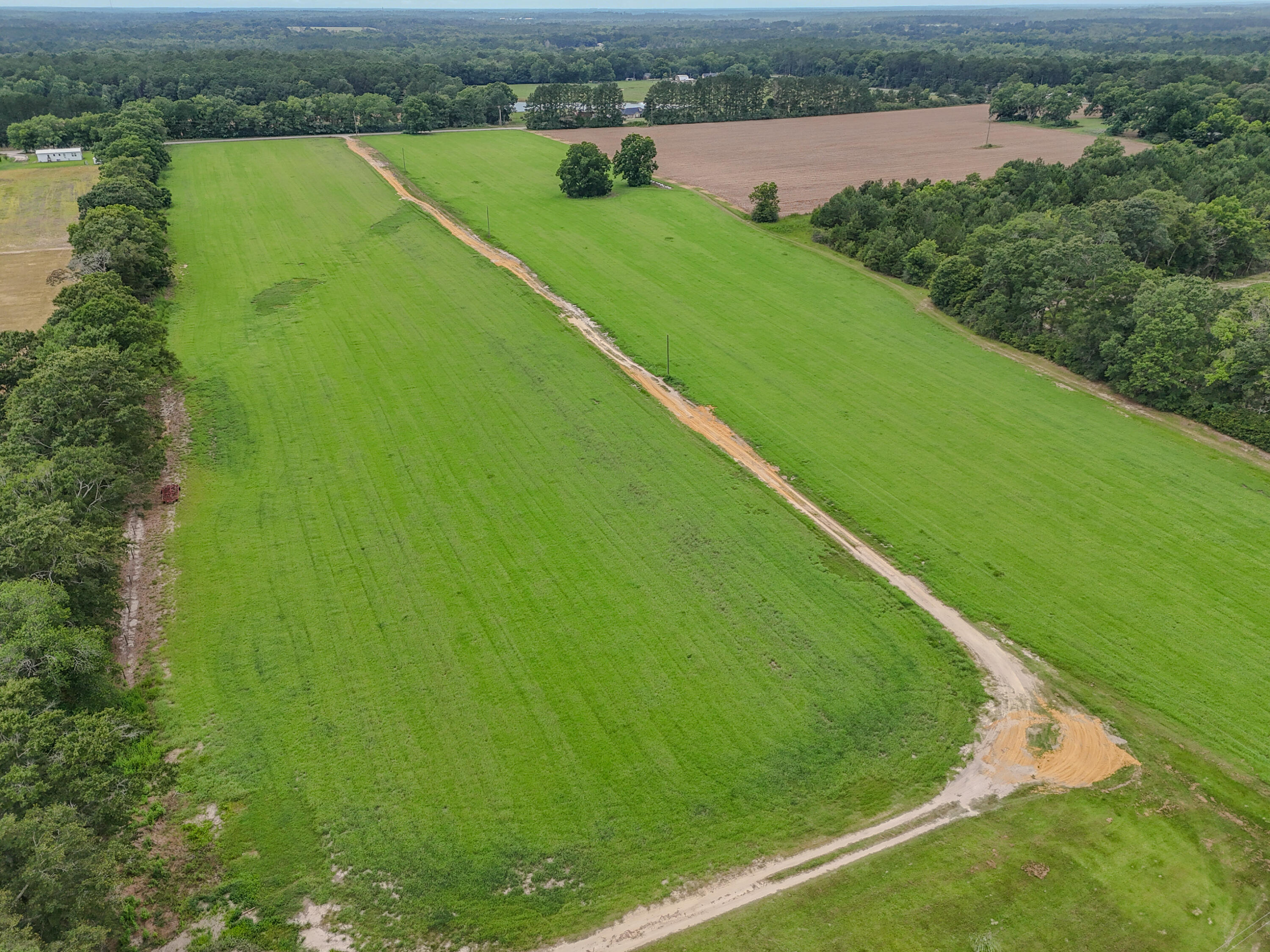8116 Highway 393 Highway Laurel Hill FL 32567