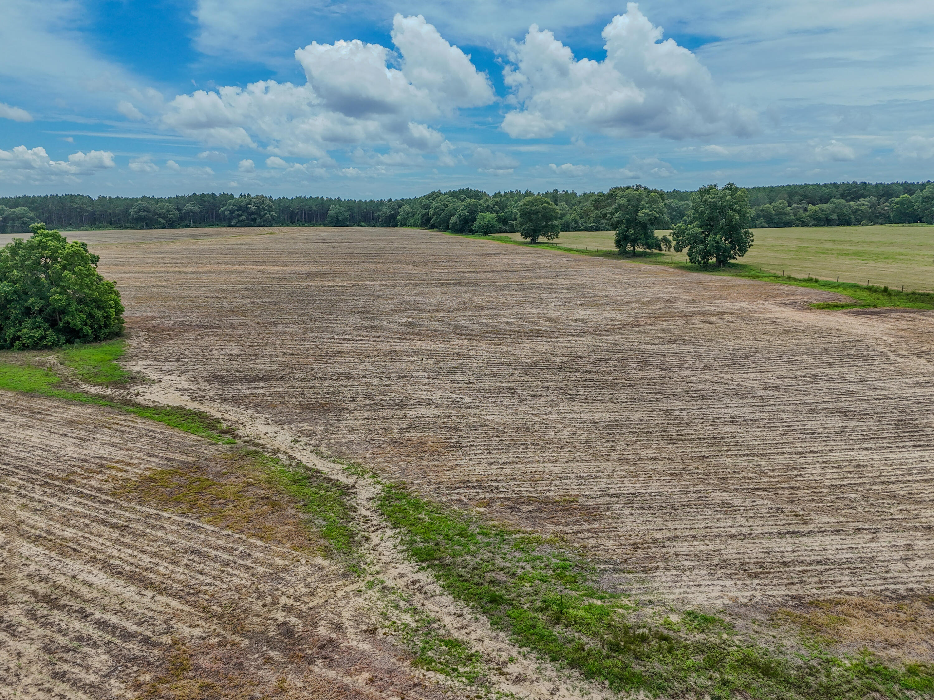 8116 Highway 393 Highway Laurel Hill FL 32567