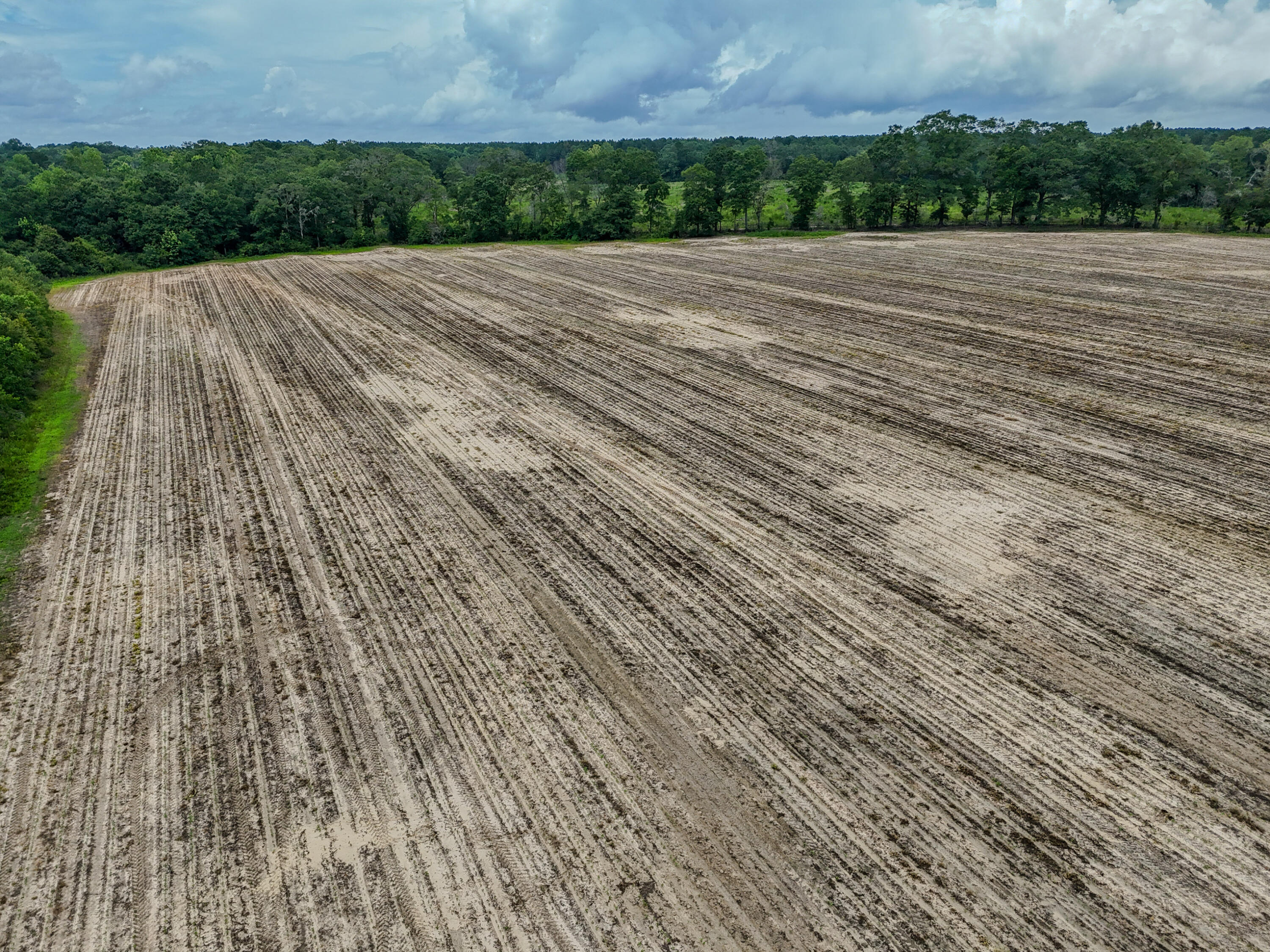 8116 Highway 393 Highway Laurel Hill FL 32567