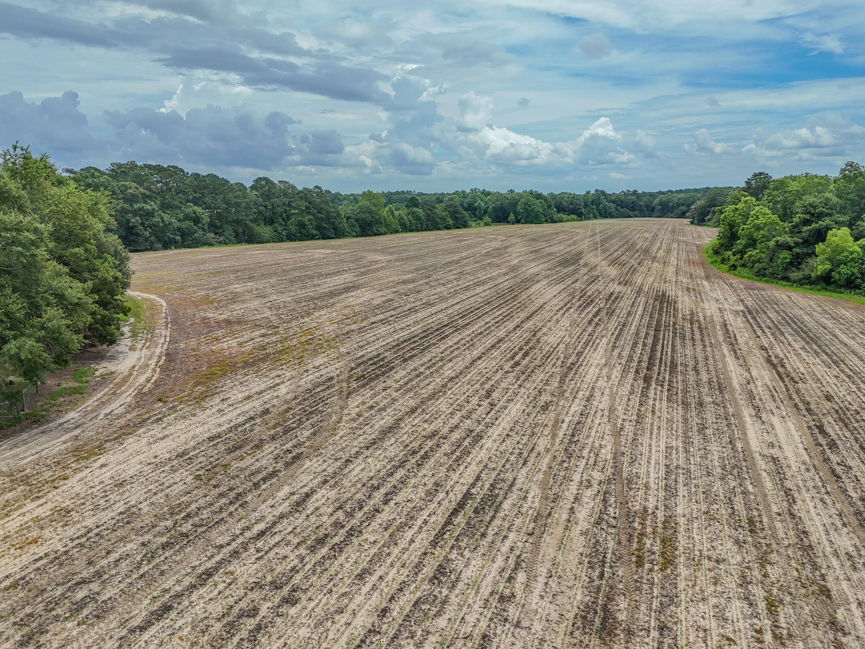 8116 Highway 393 Highway Laurel Hill FL 32567