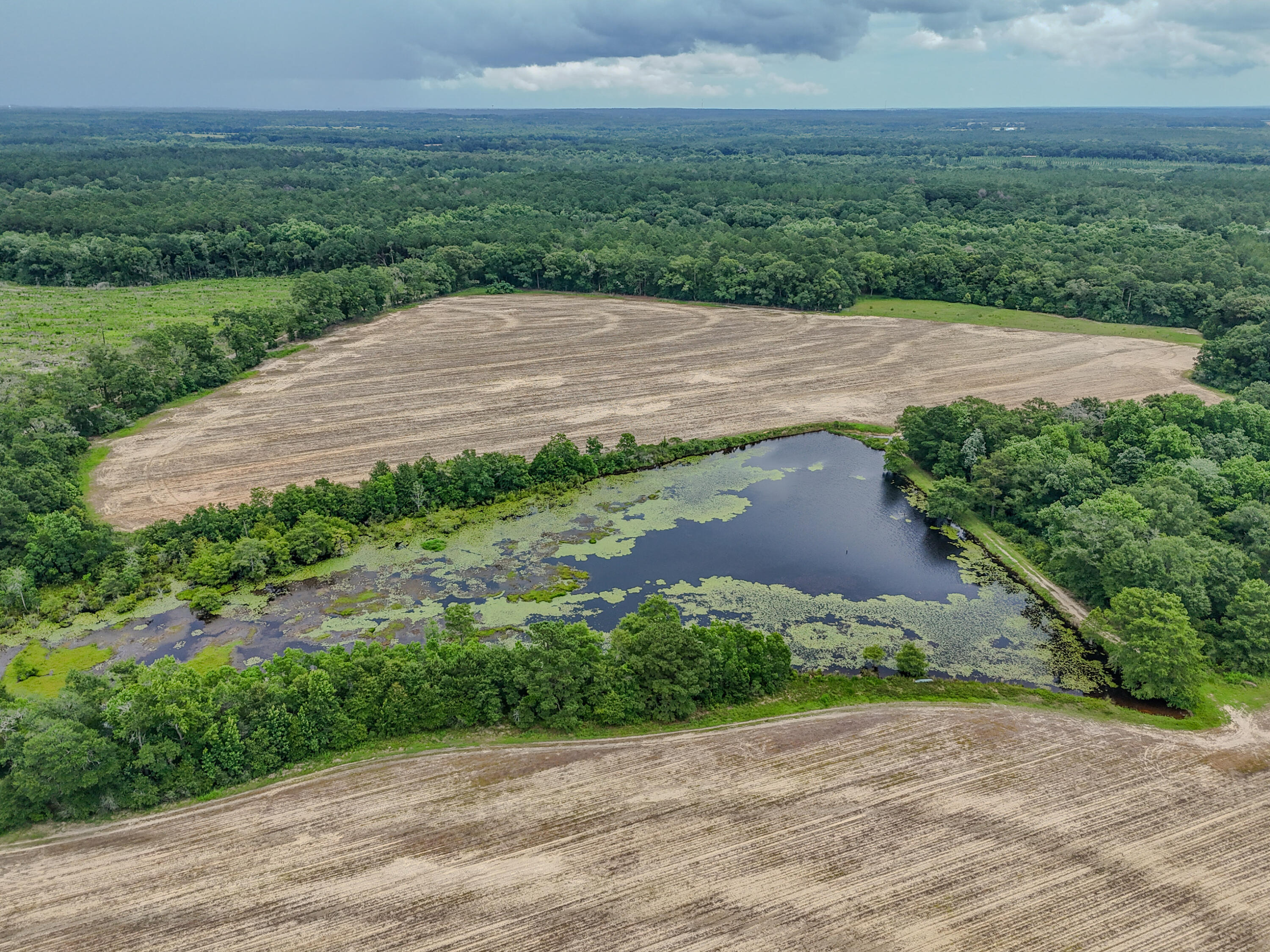 8116 Highway 393 Highway Laurel Hill FL 32567