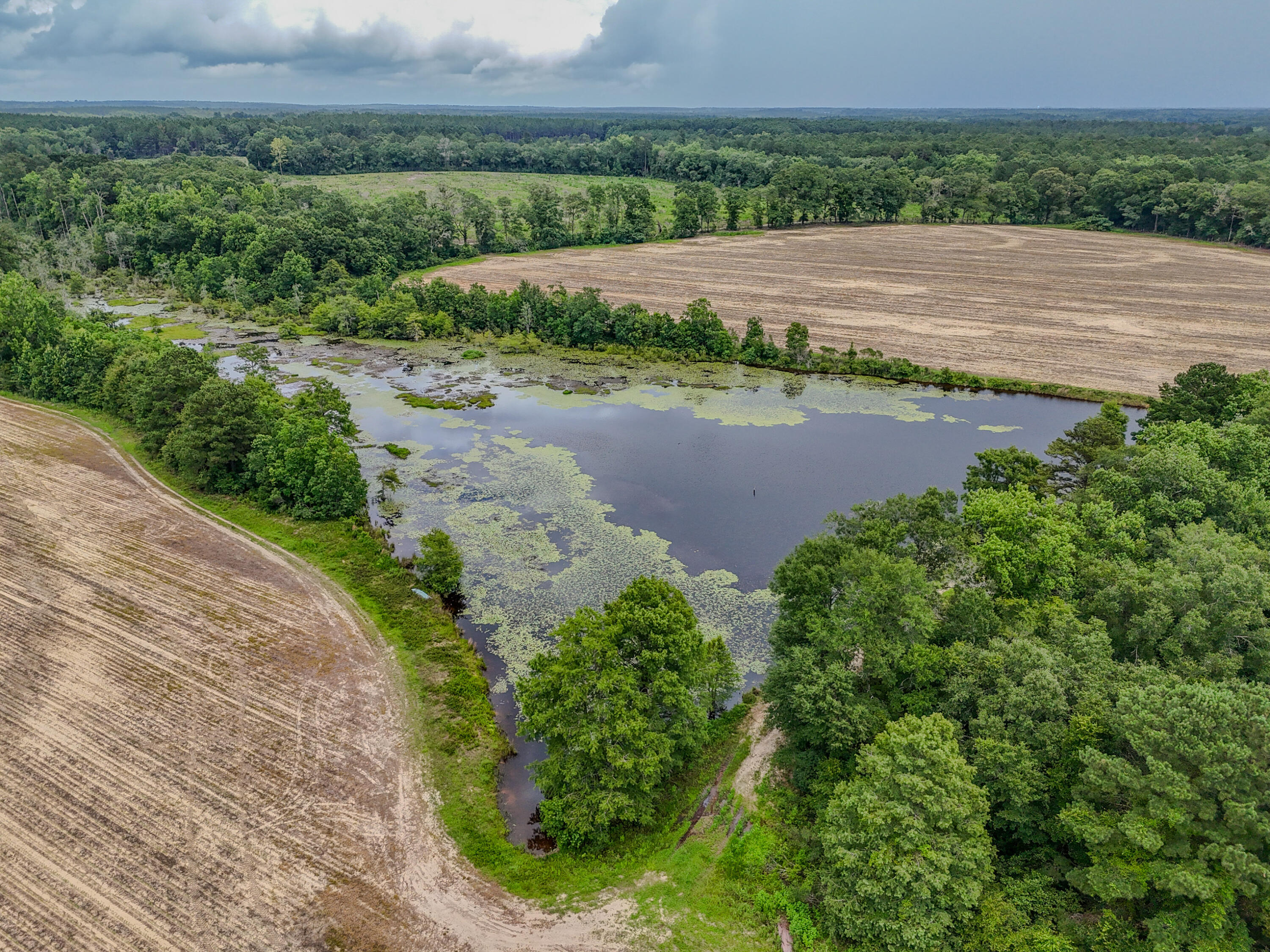 8116 Highway 393 Highway Laurel Hill FL 32567