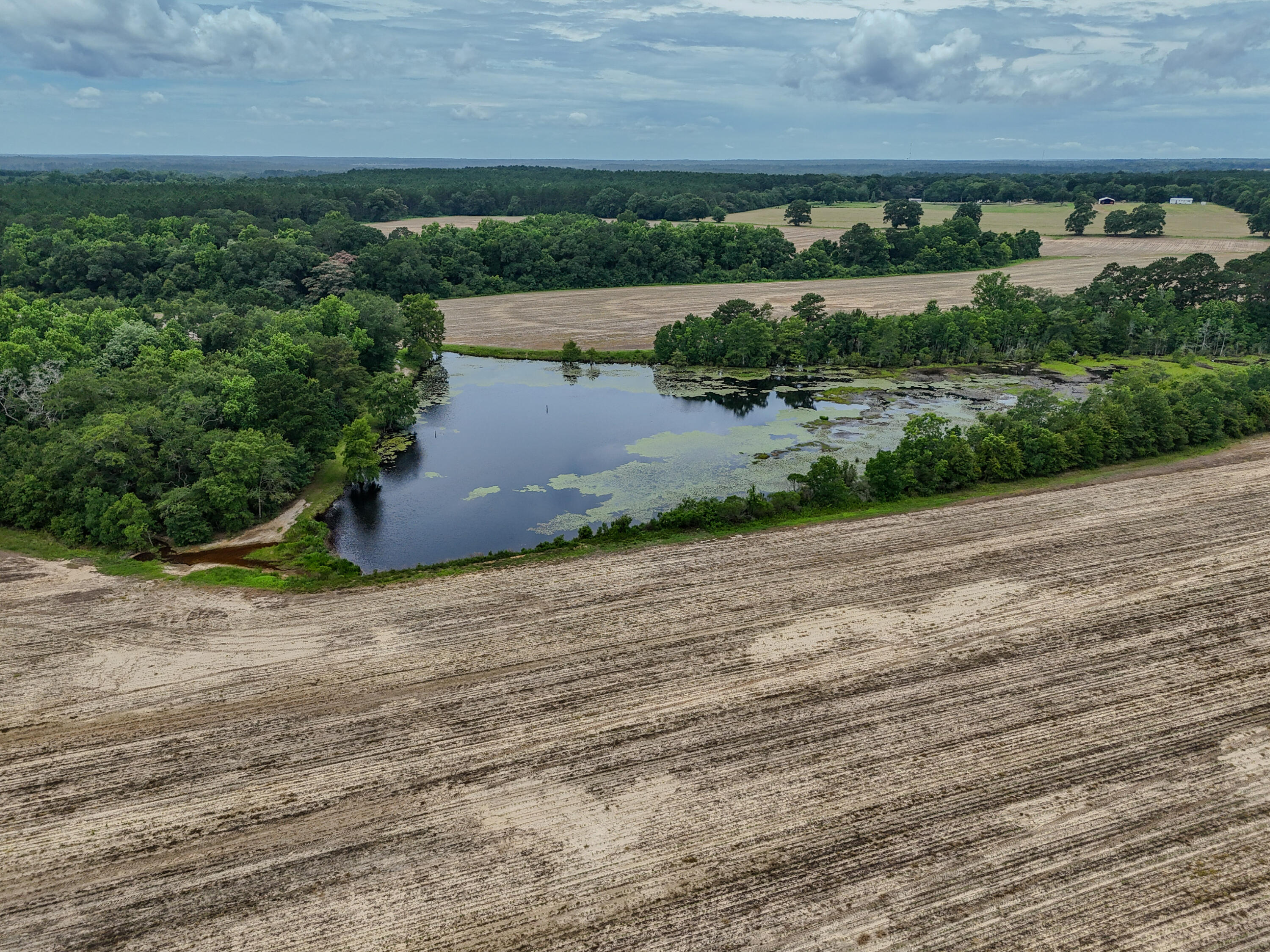 8116 Highway 393 Highway Laurel Hill FL 32567