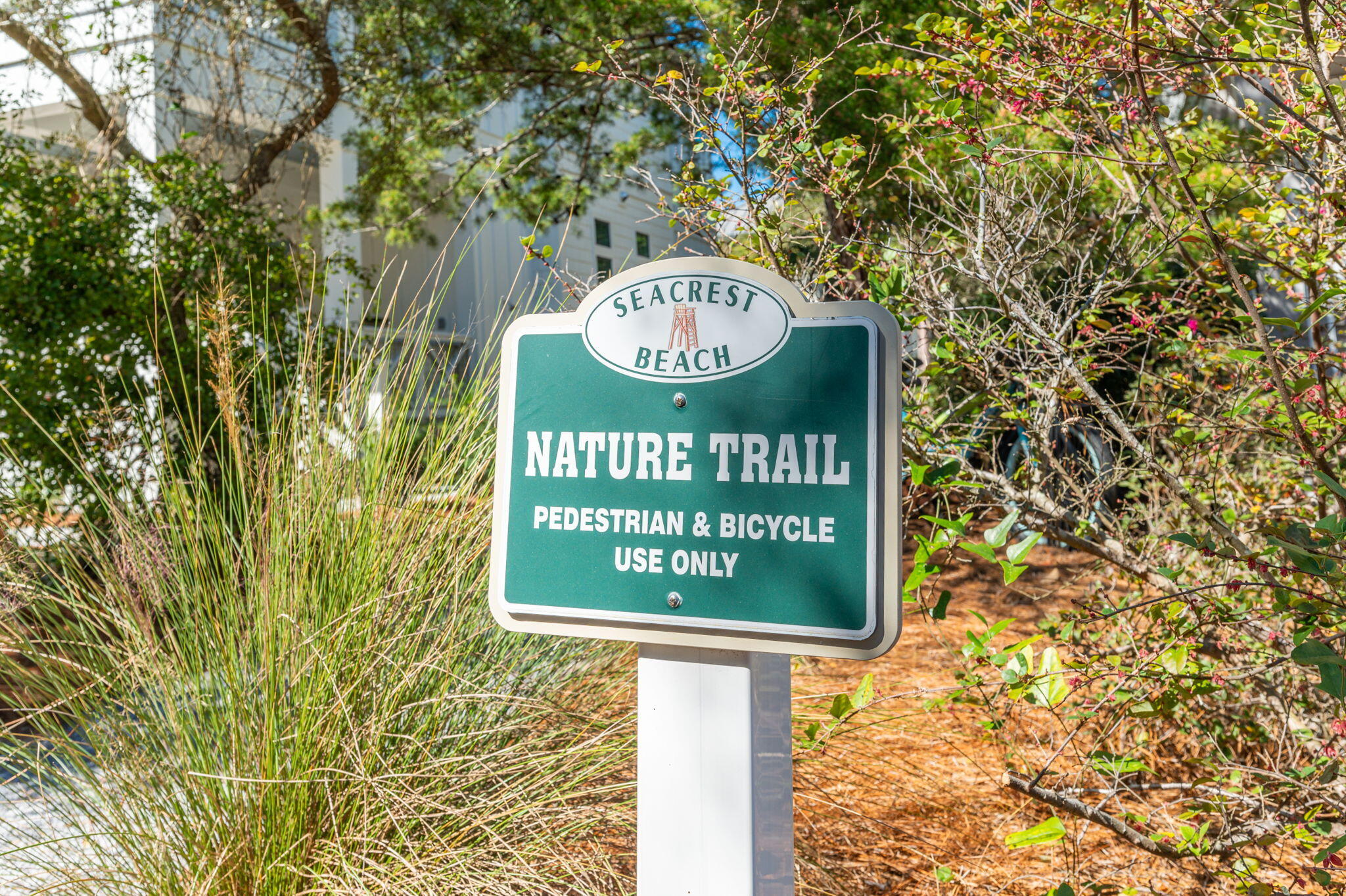 212 E Seacrest Beach Boulevard Inlet Beach FL 32461