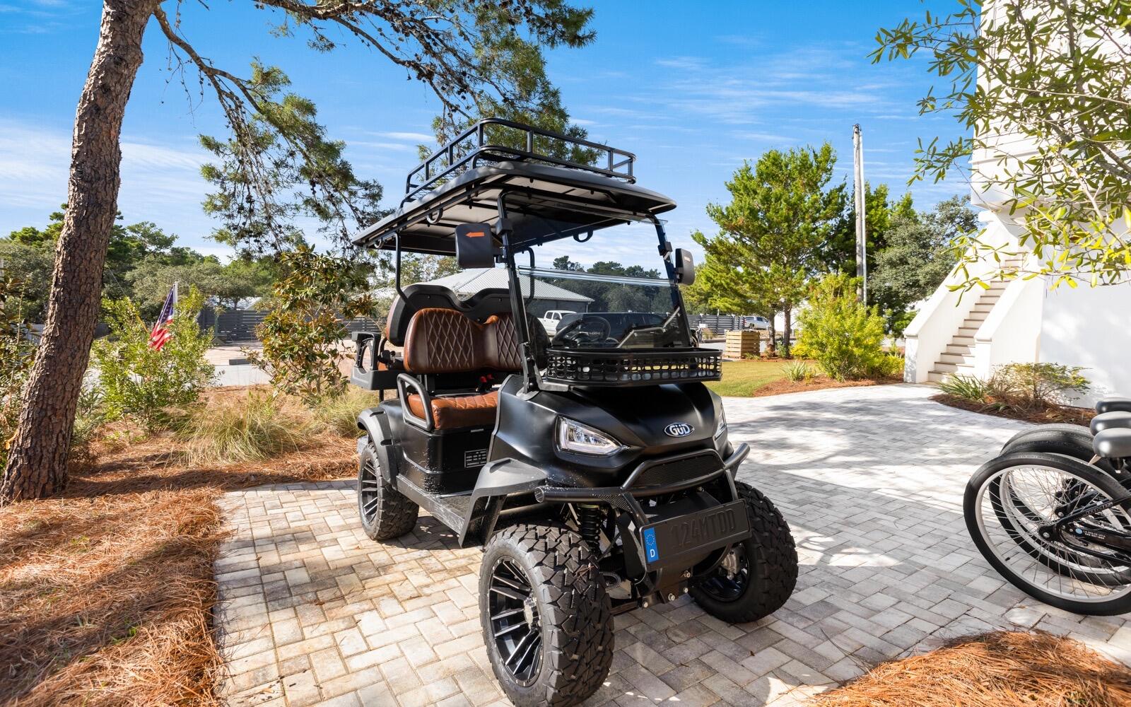 124 Mountain Top Dune Drive Santa Rosa Beach FL 32459