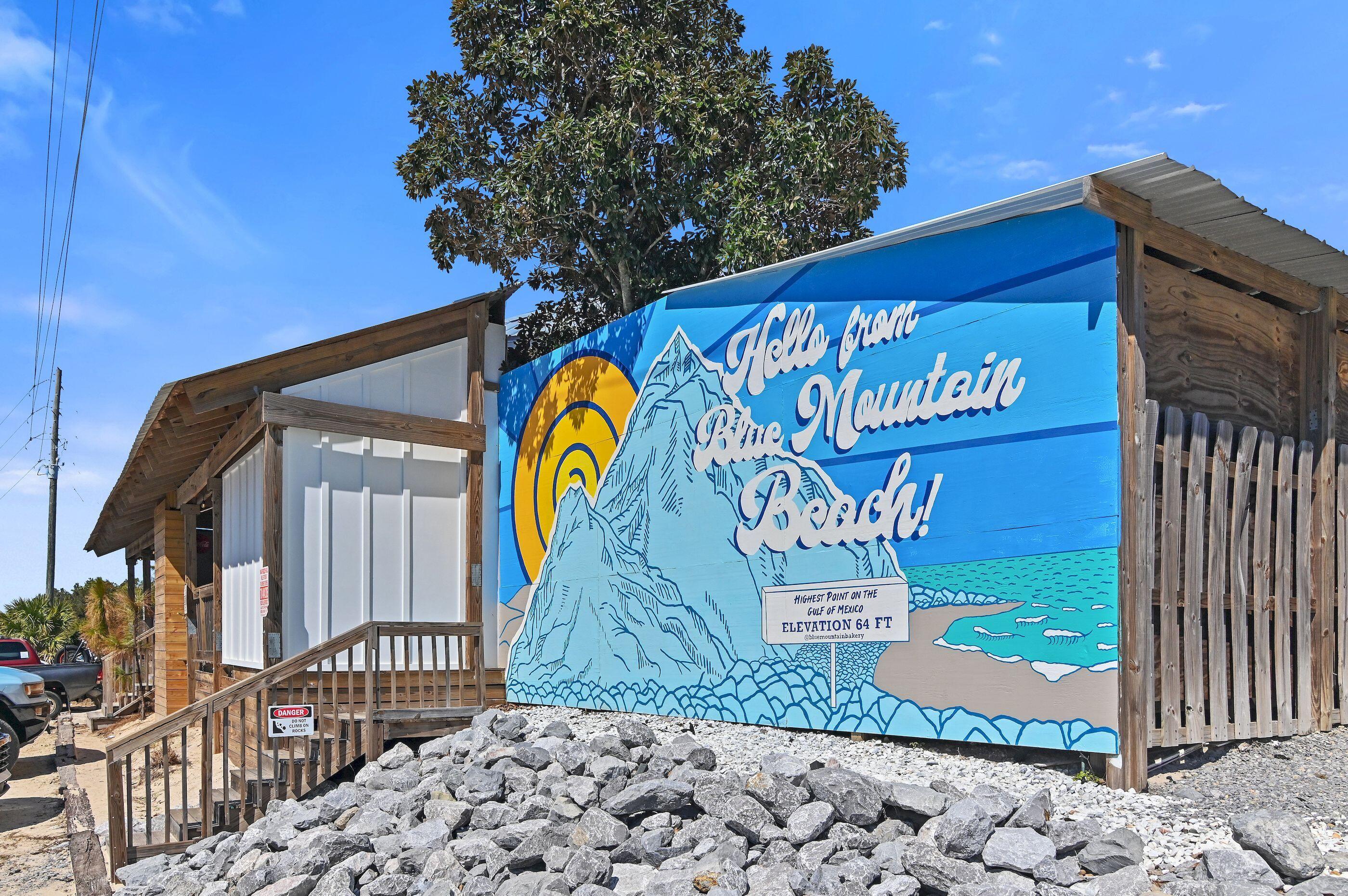 124 Mountain Top Dune Drive Santa Rosa Beach FL 32459