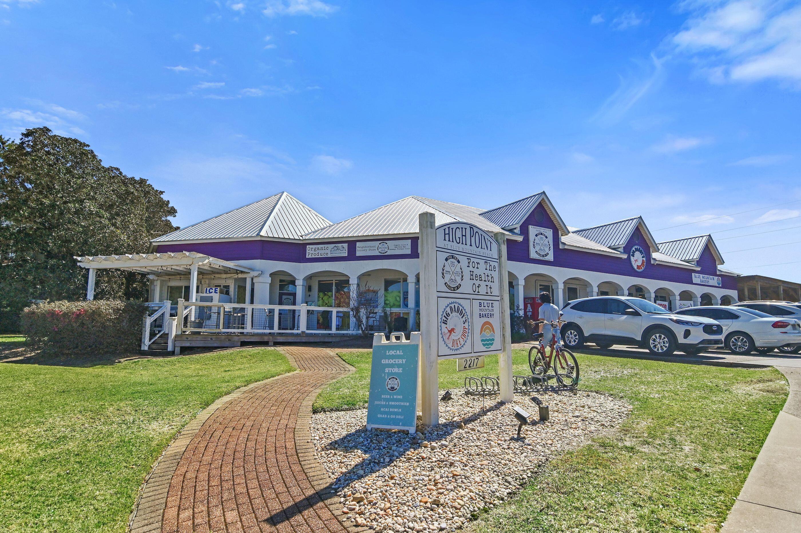 124 Mountain Top Dune Drive Santa Rosa Beach FL 32459