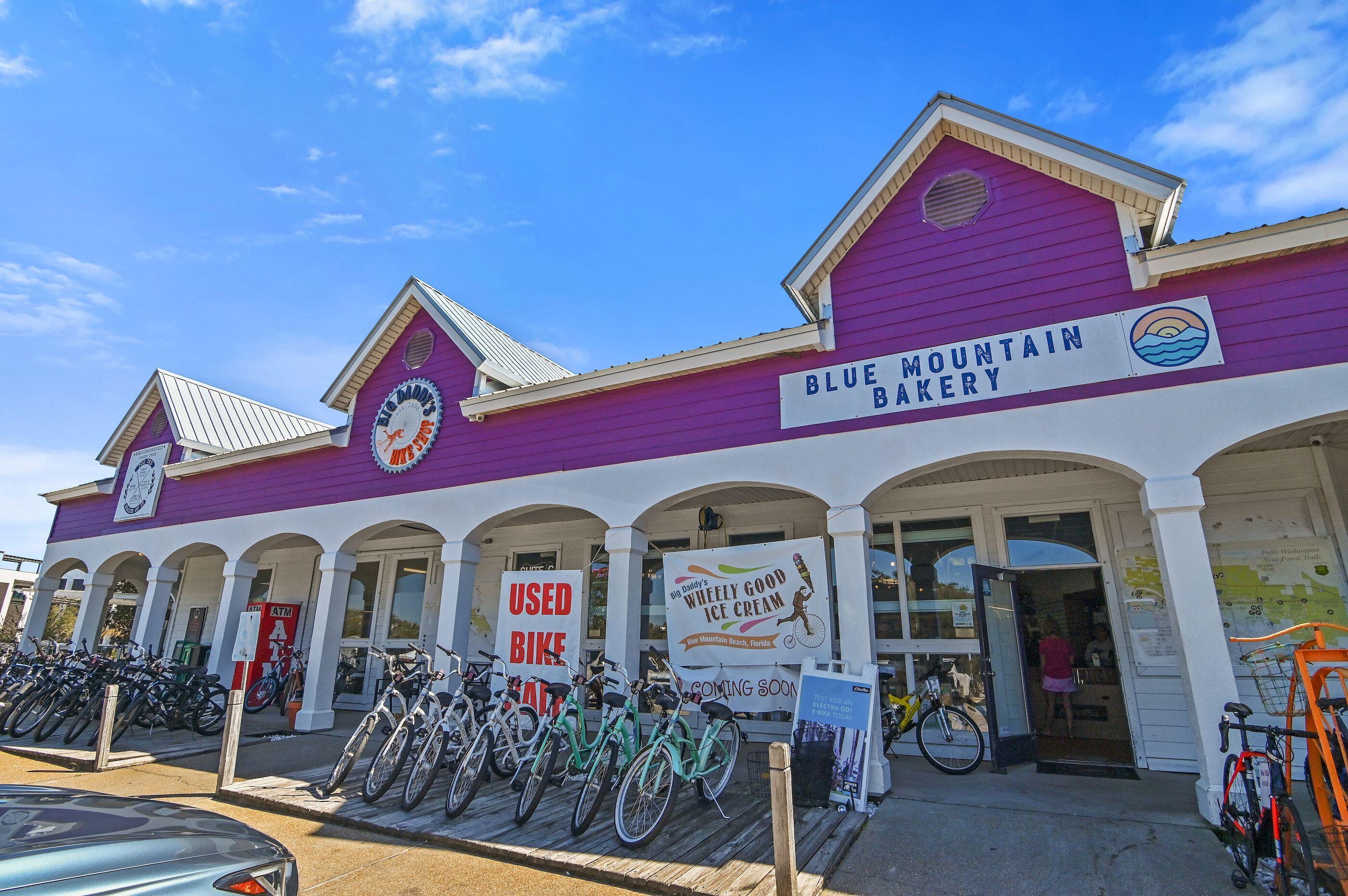 124 Mountain Top Dune Drive Santa Rosa Beach FL 32459