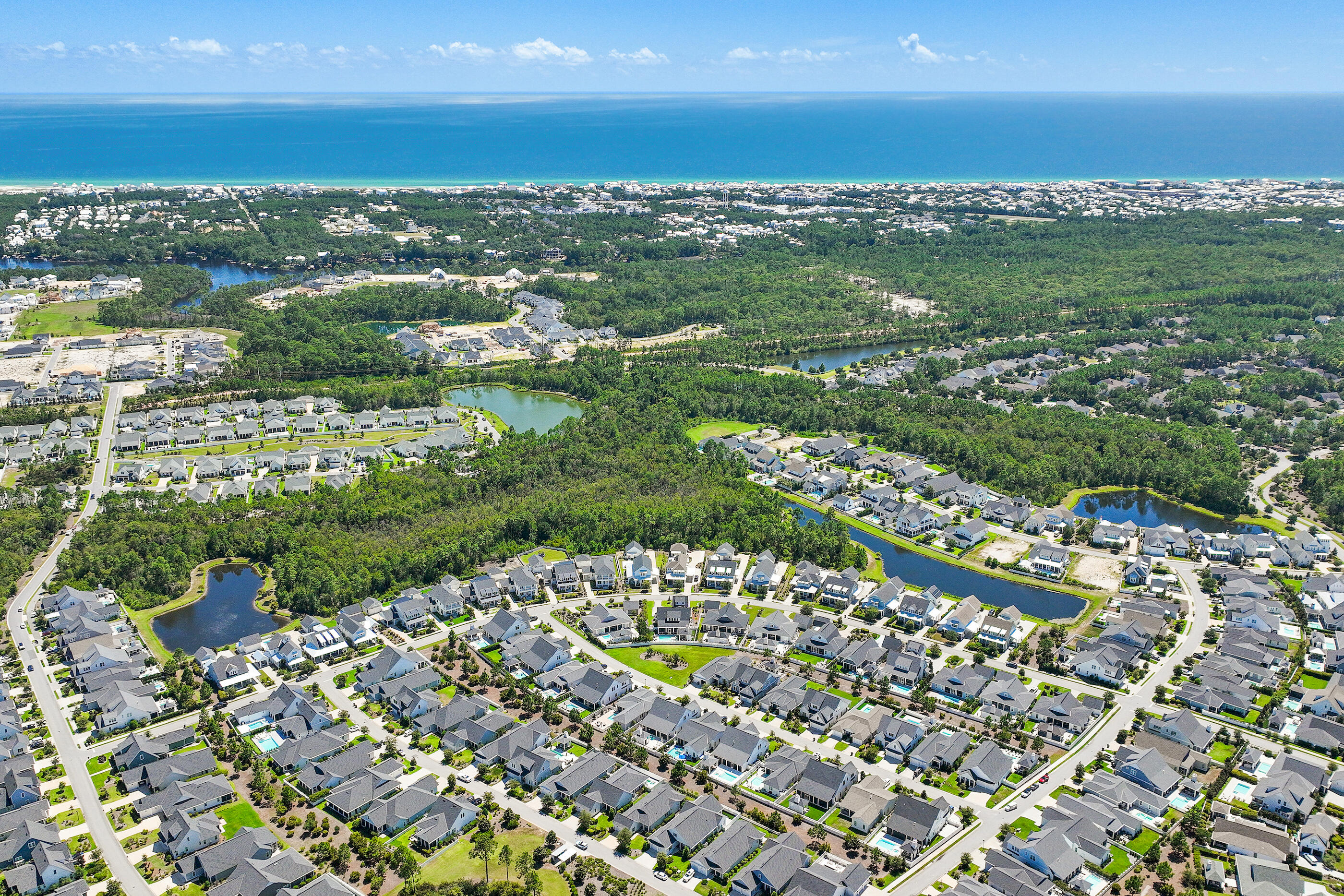 145 Catface Drive Inlet Beach FL 32461
