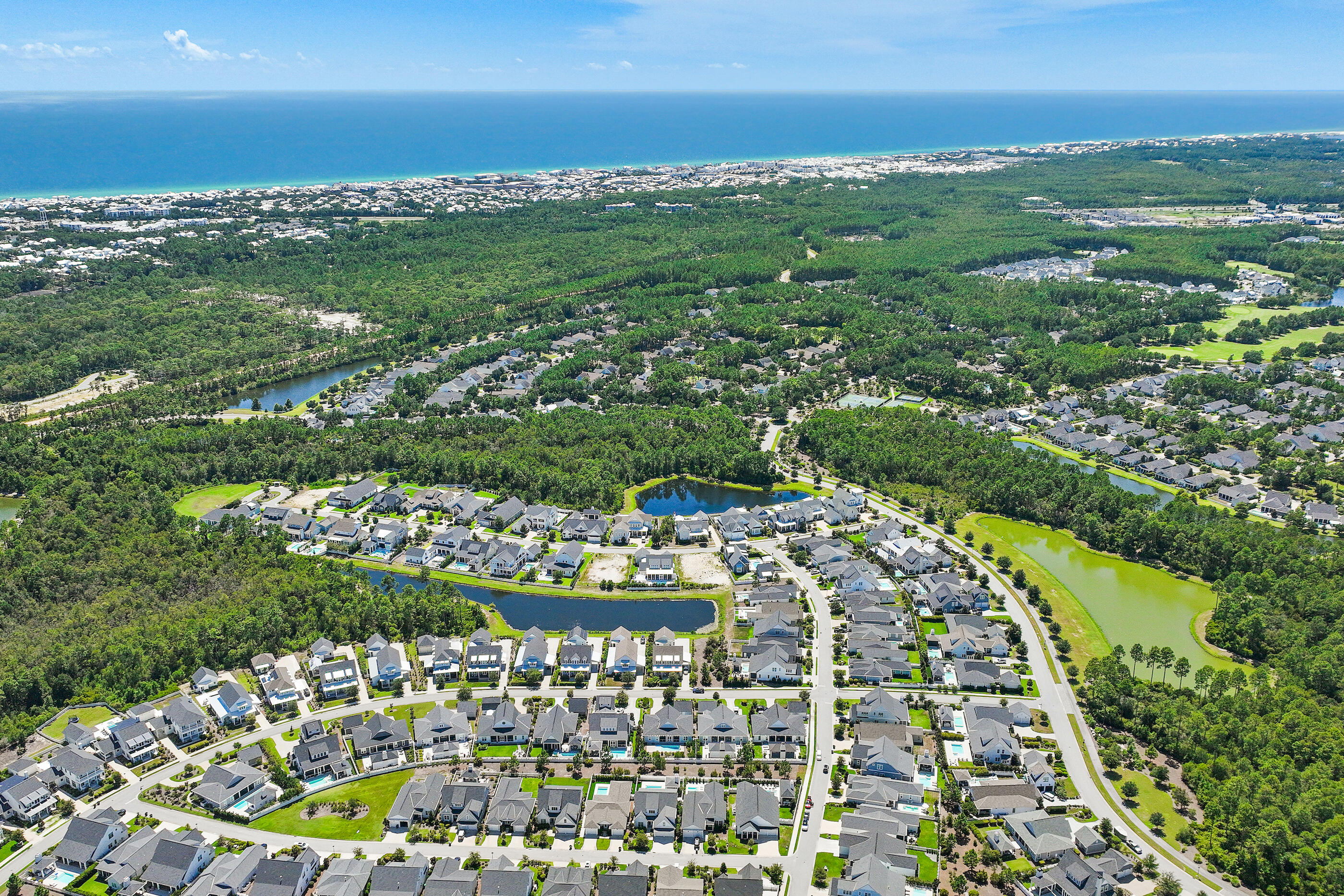 145 Catface Drive Inlet Beach FL 32461