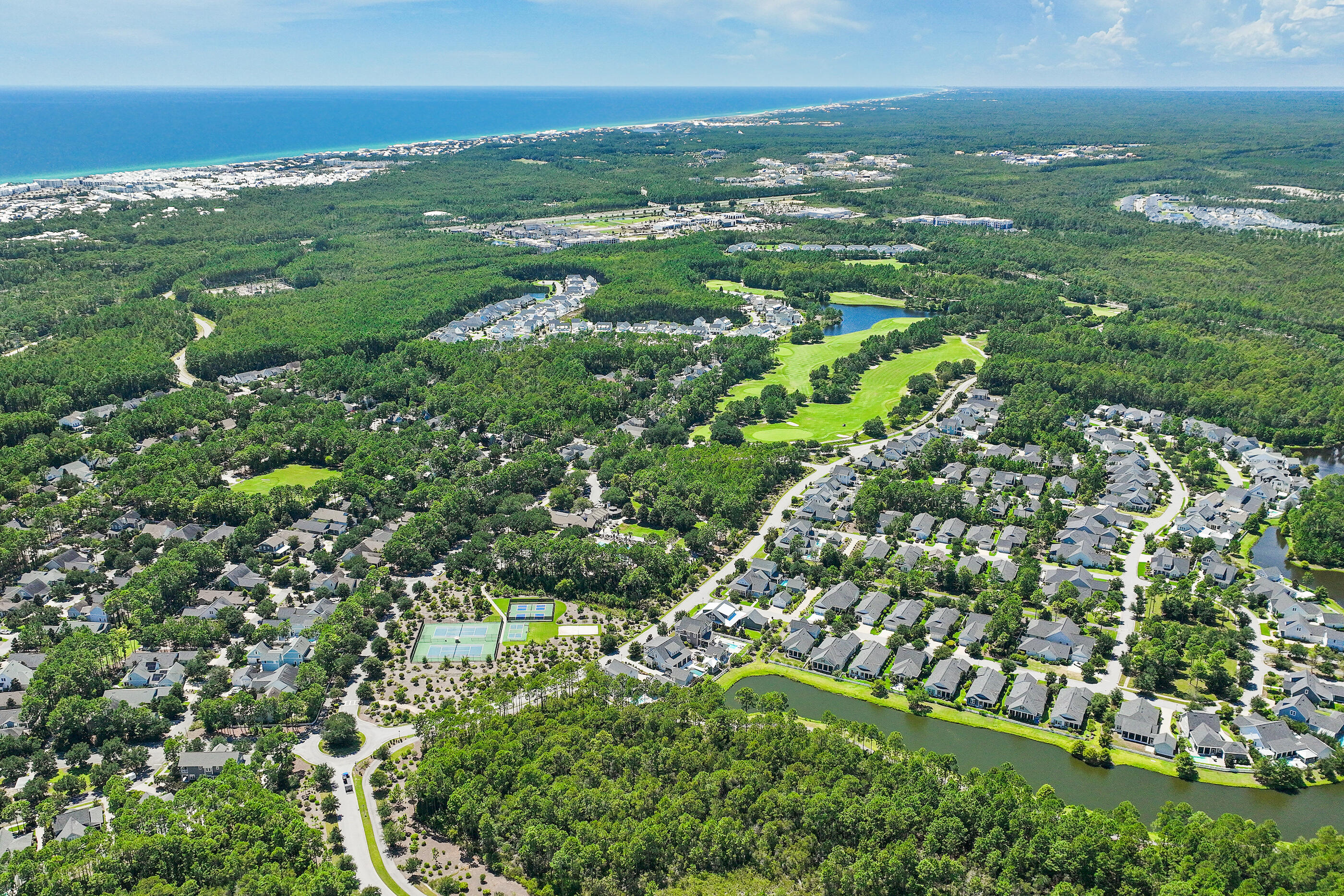 145 Catface Drive Inlet Beach FL 32461