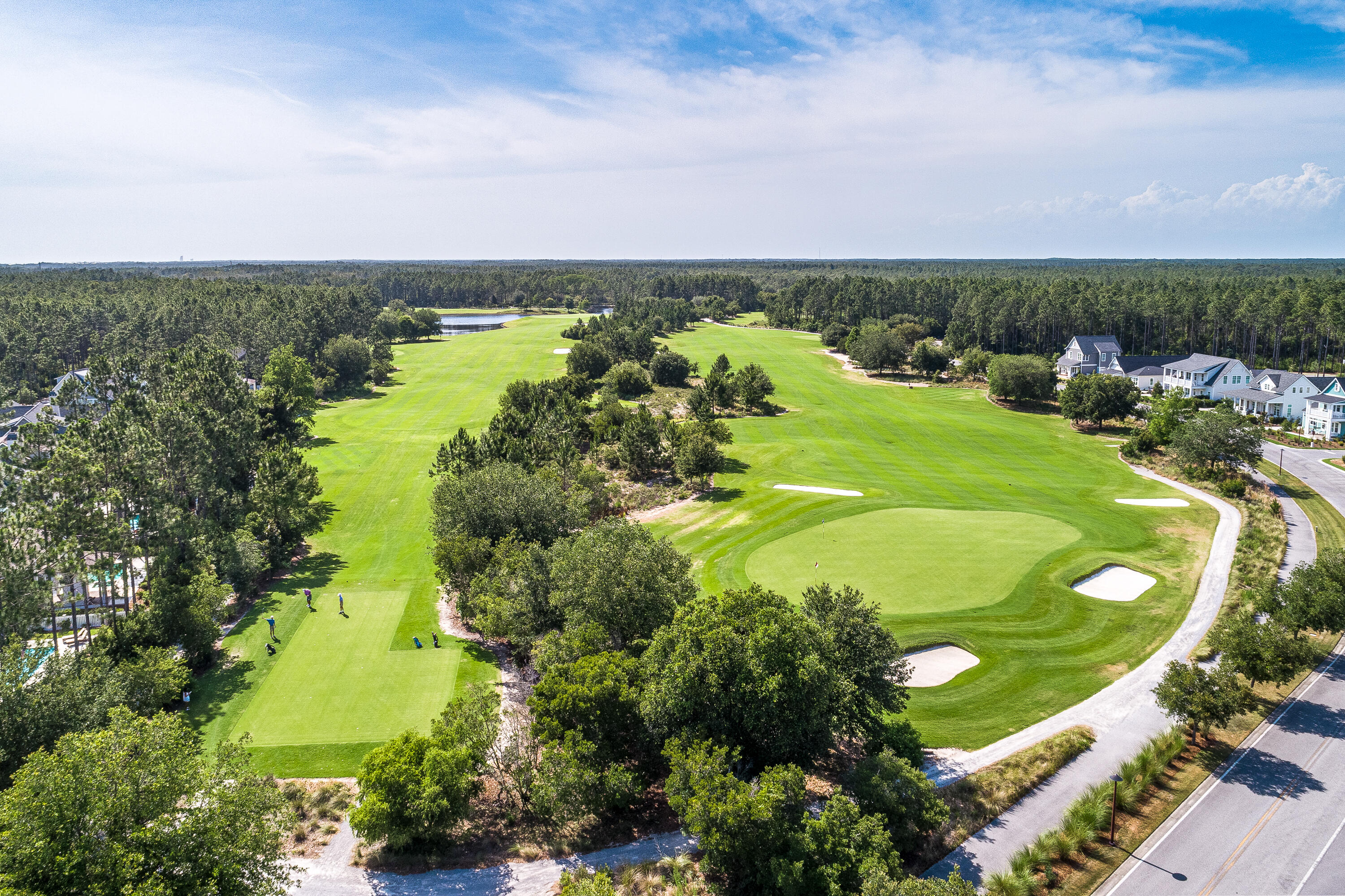 59 Suwannee Drive Inlet Beach FL 32461