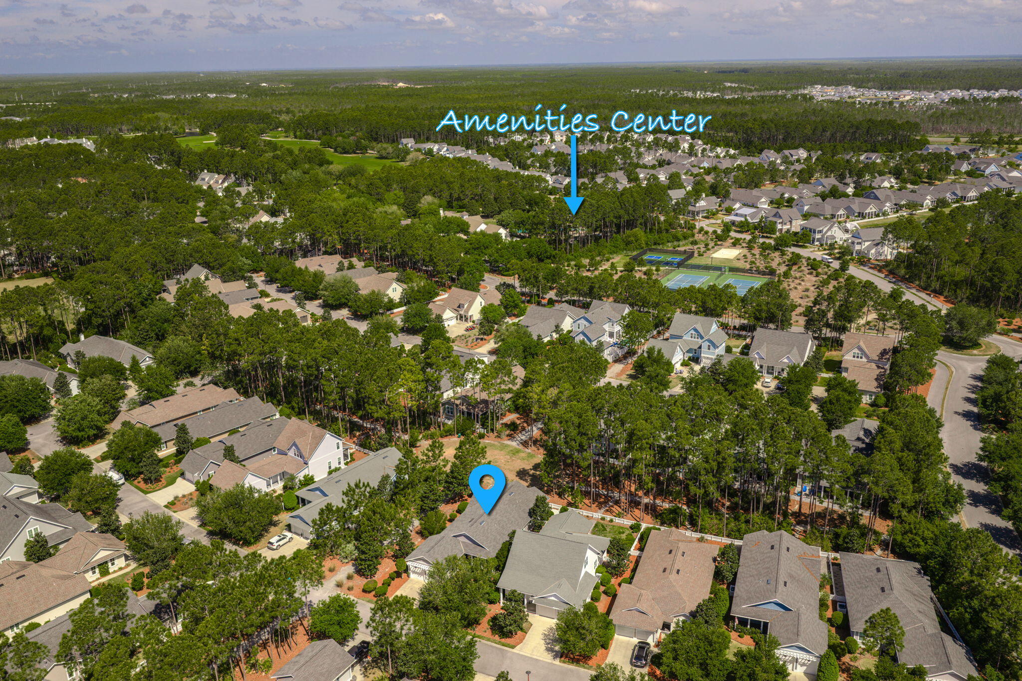 73 Somersault Lane Inlet Beach FL 32461