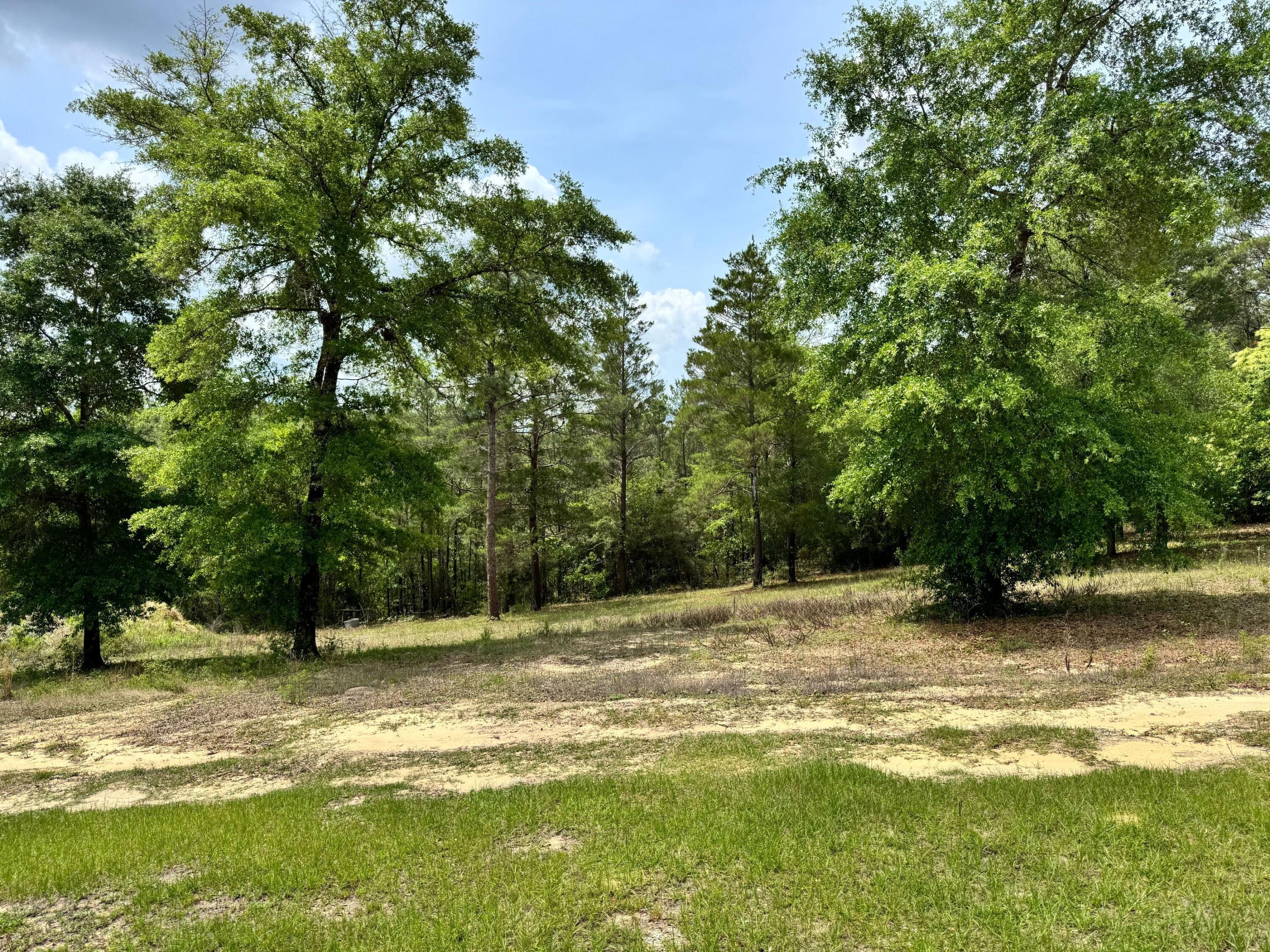 994 O'sage Drive Defuniak Springs FL 32433