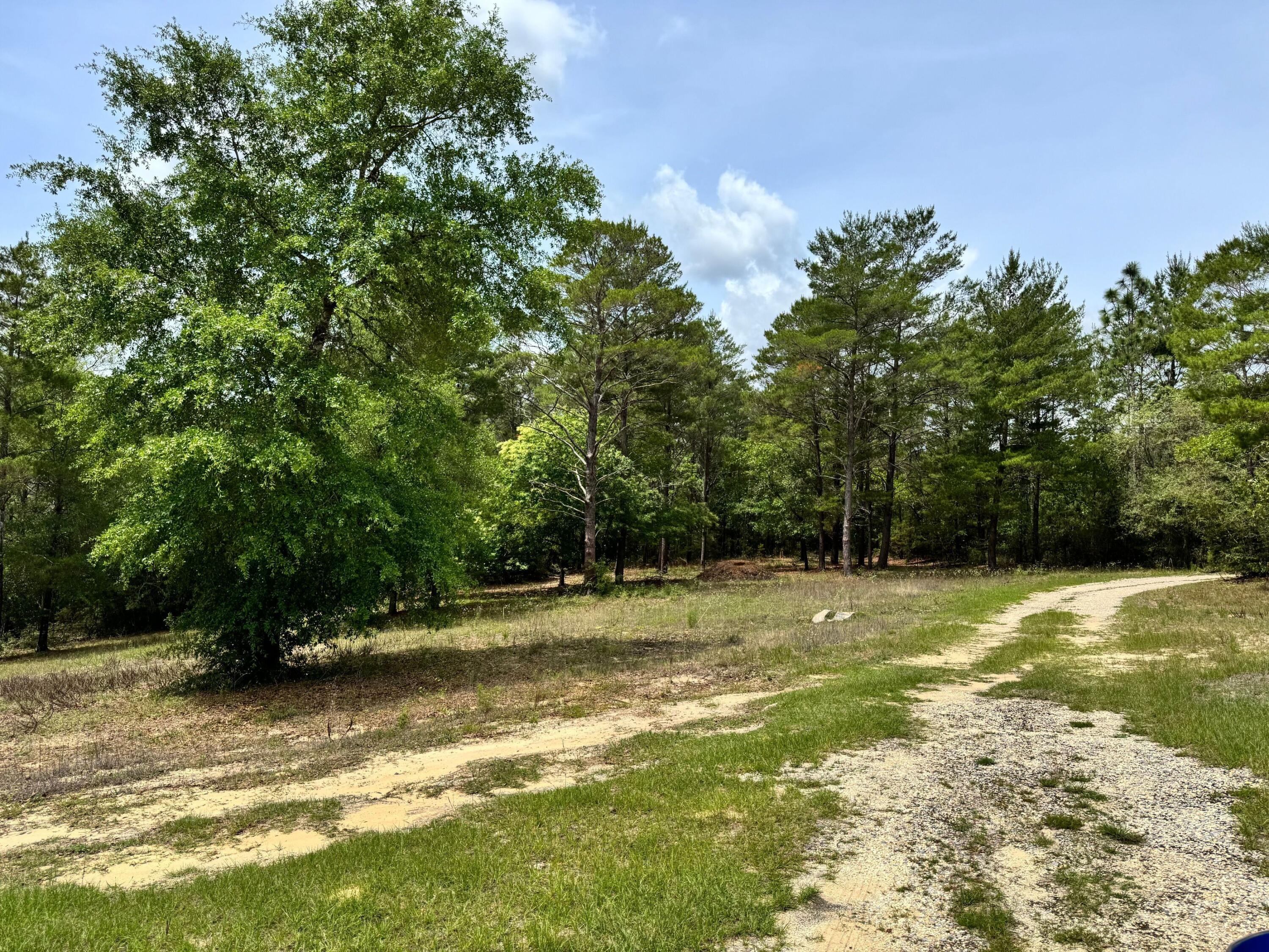 994 O'sage Drive Defuniak Springs FL 32433