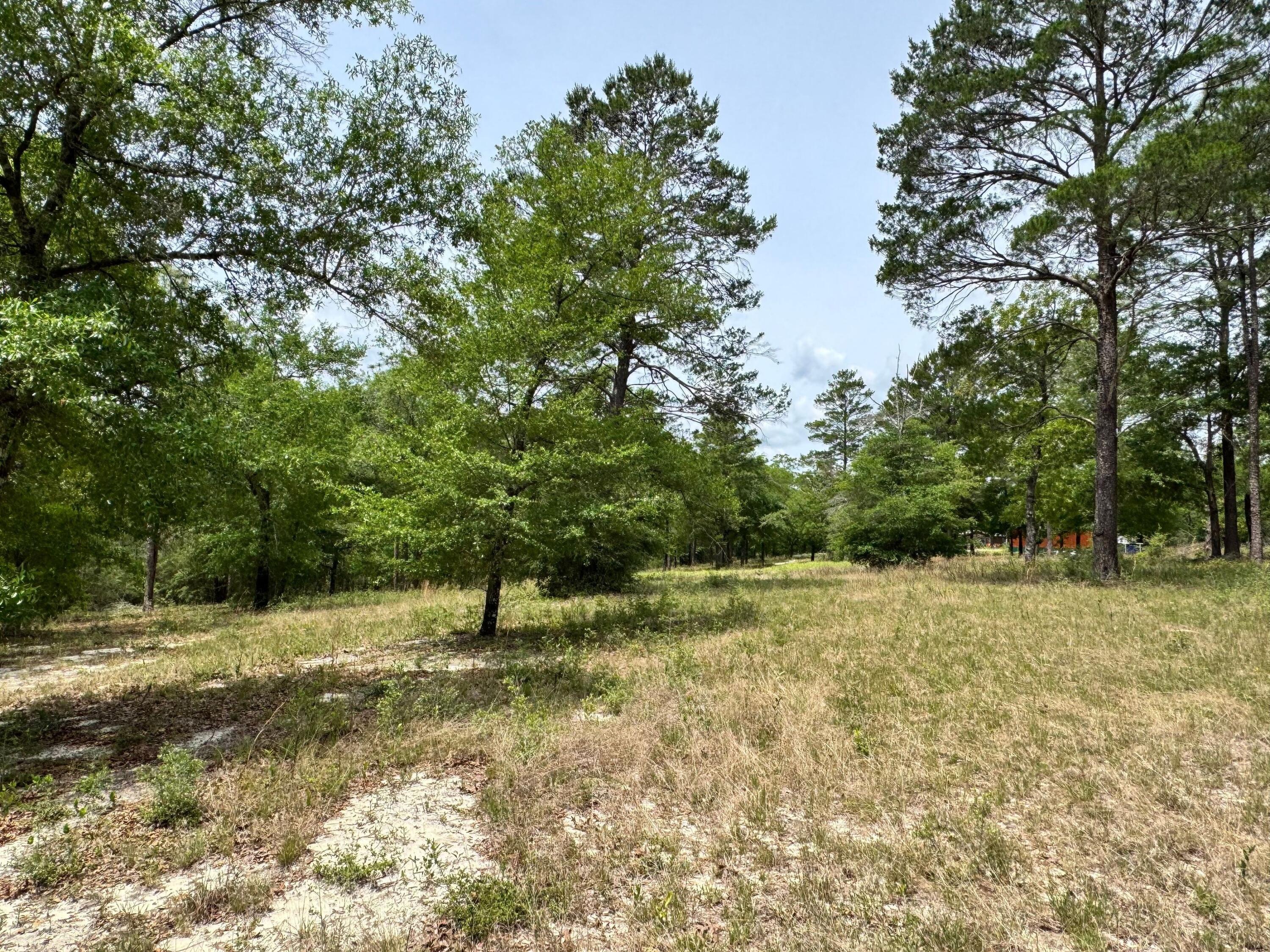 994 O'sage Drive Defuniak Springs FL 32433