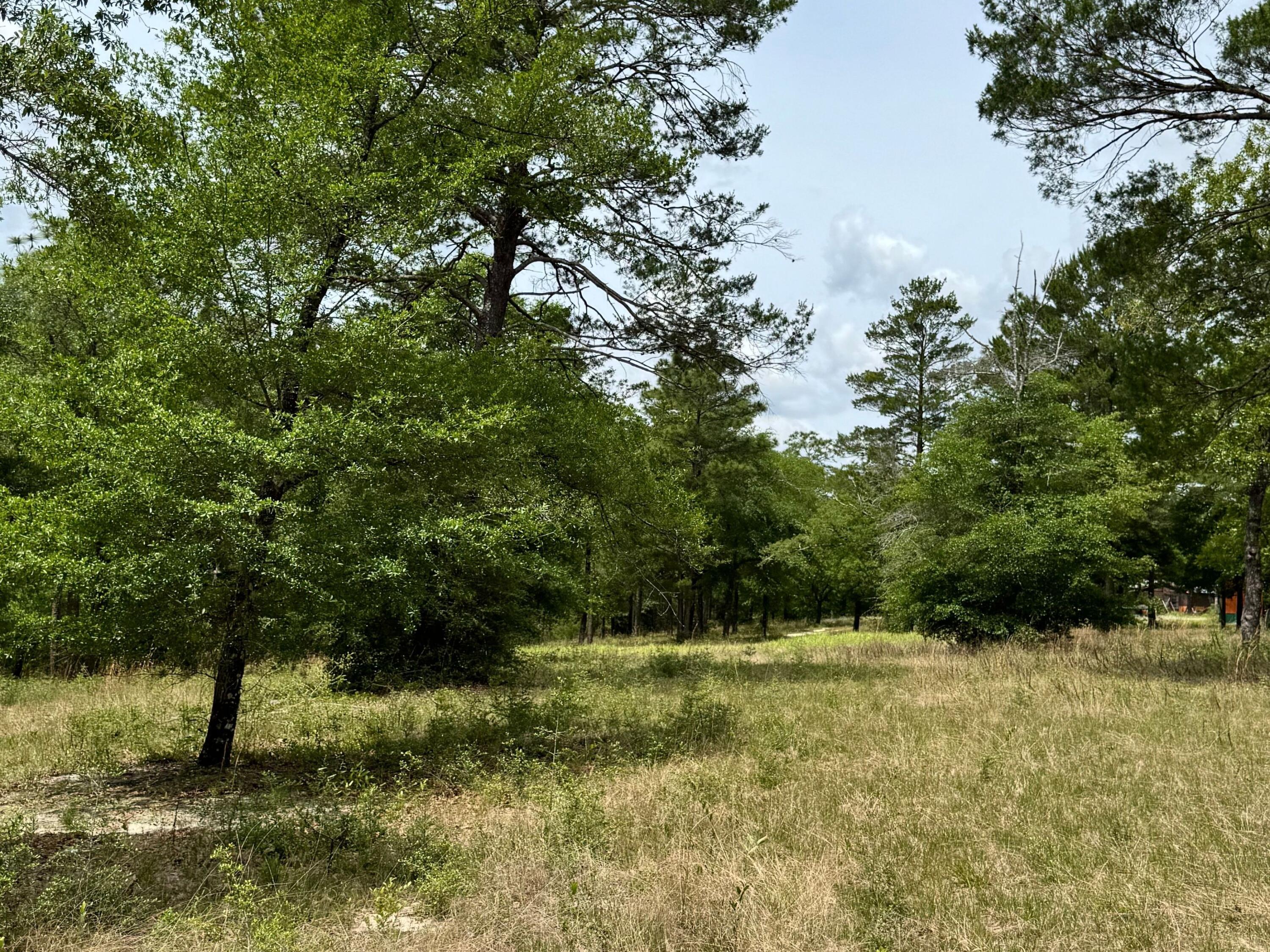 994 O'sage Drive Defuniak Springs FL 32433