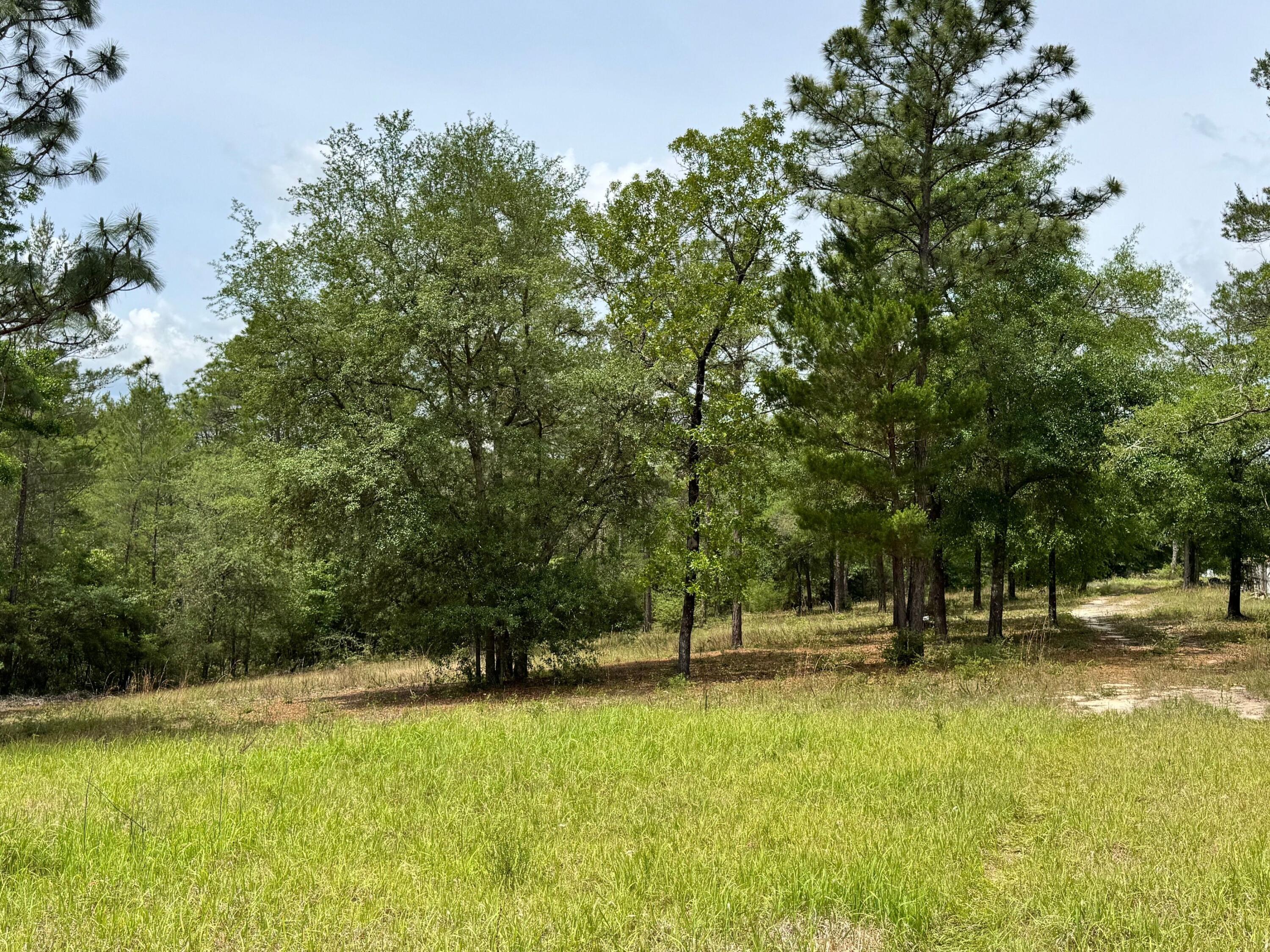 994 O'sage Drive Defuniak Springs FL 32433