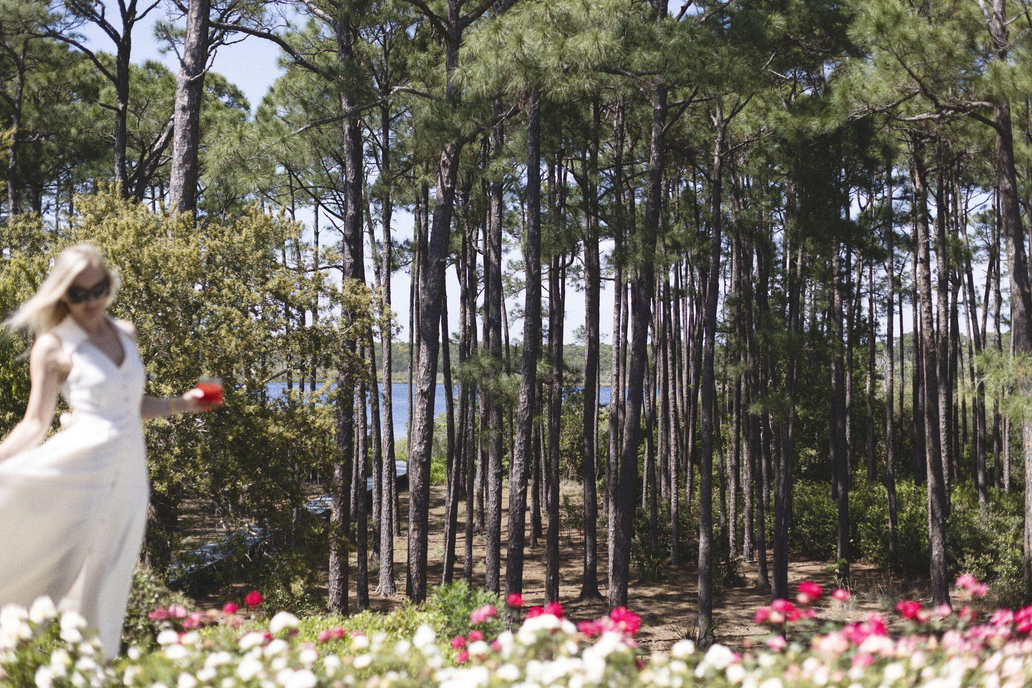 285 Twisted Pine Trail Santa Rosa Beach FL 32459