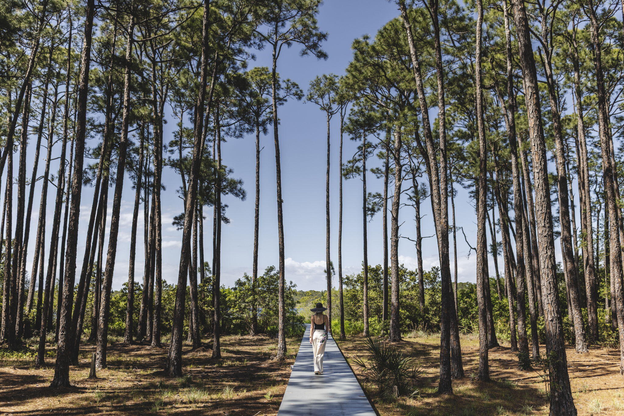 285 Twisted Pine Trail Santa Rosa Beach FL 32459