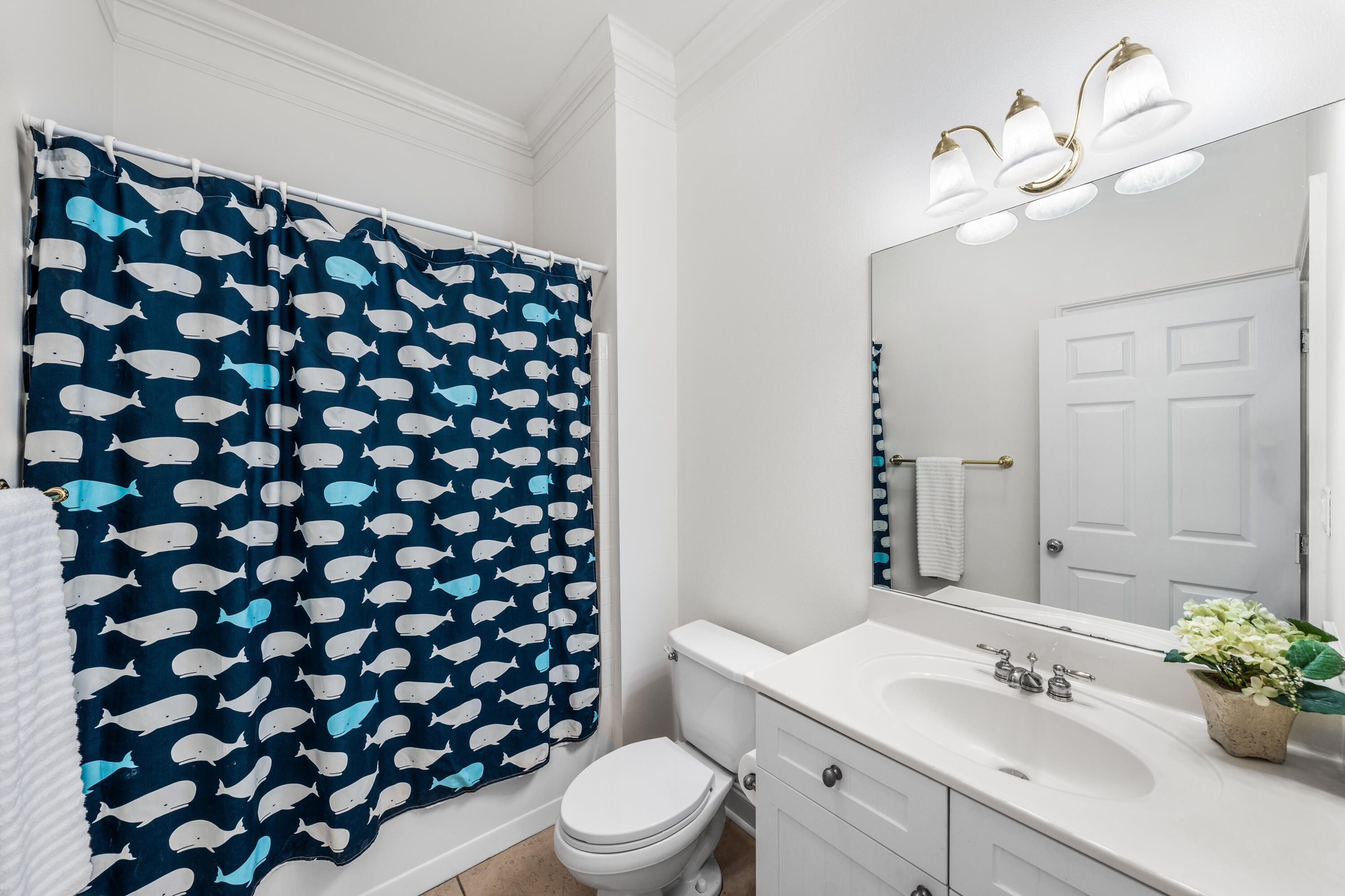 104 Masters Court Santa Rosa Beach FL 32459
