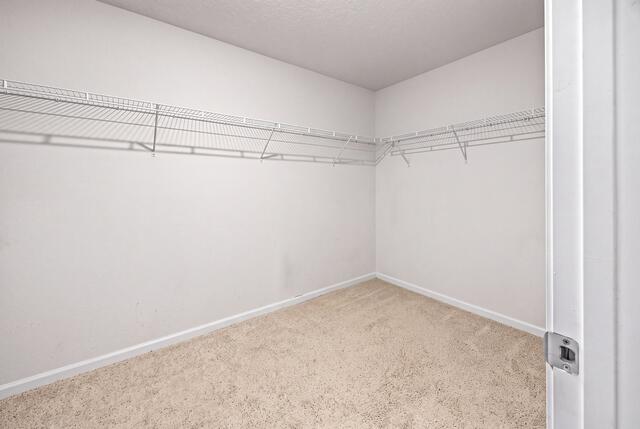 5560 Guinevere Lane Milton FL 32583