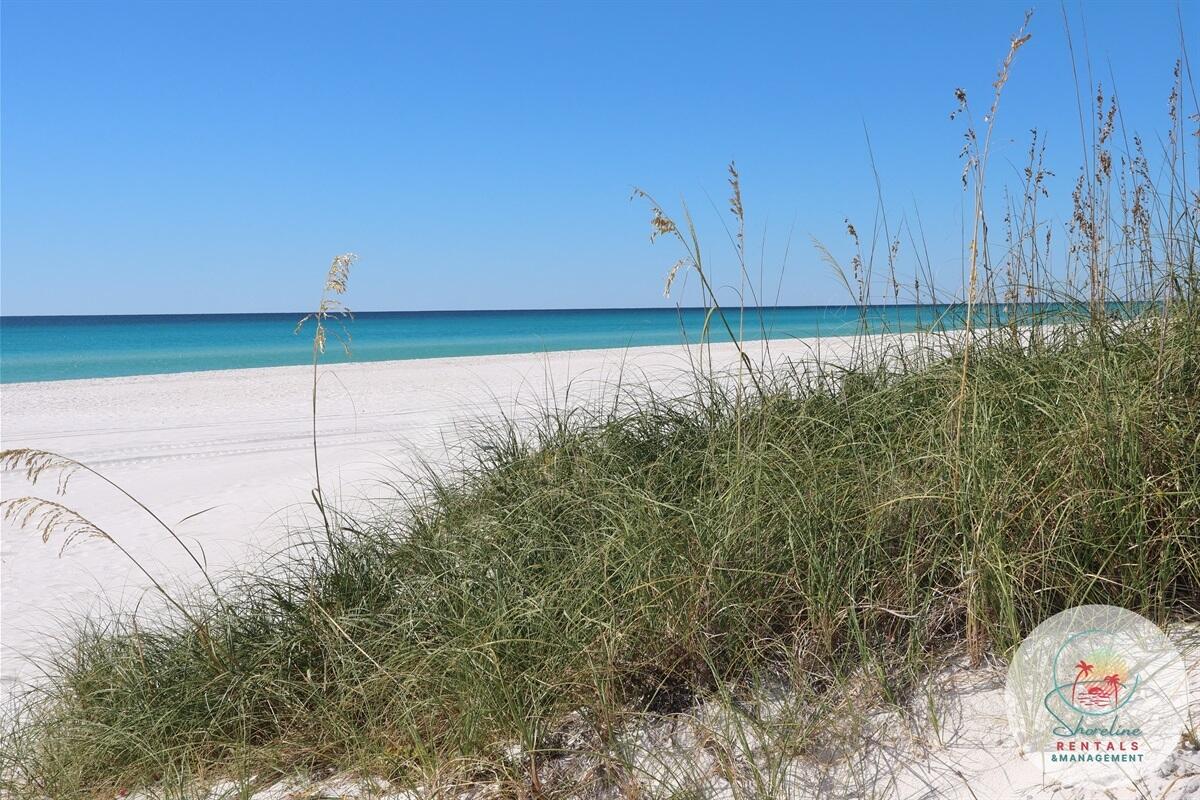 309 Jasmine Place Panama City Beach FL 32413