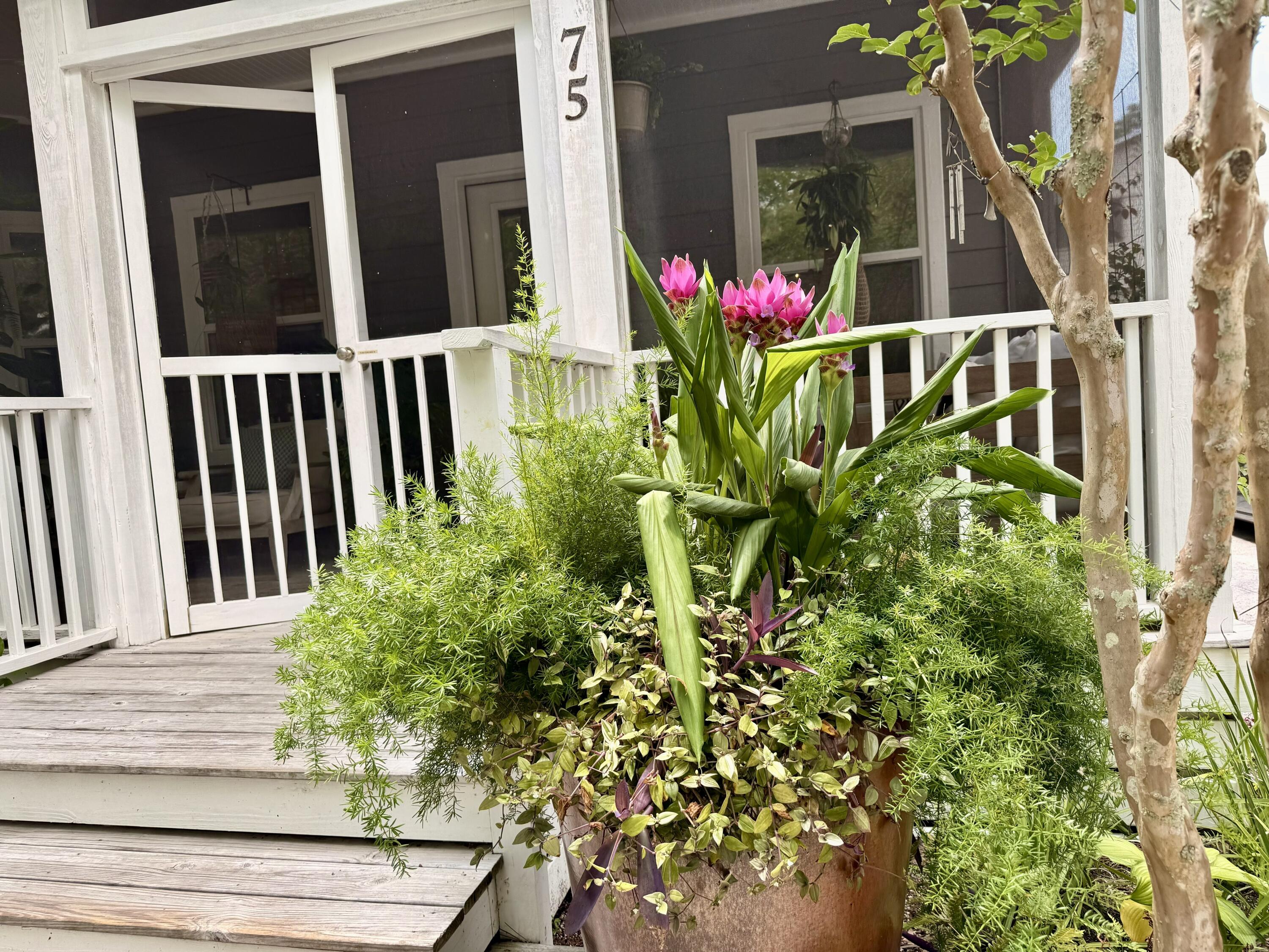 75 Cullman Avenue Santa Rosa Beach FL 32459