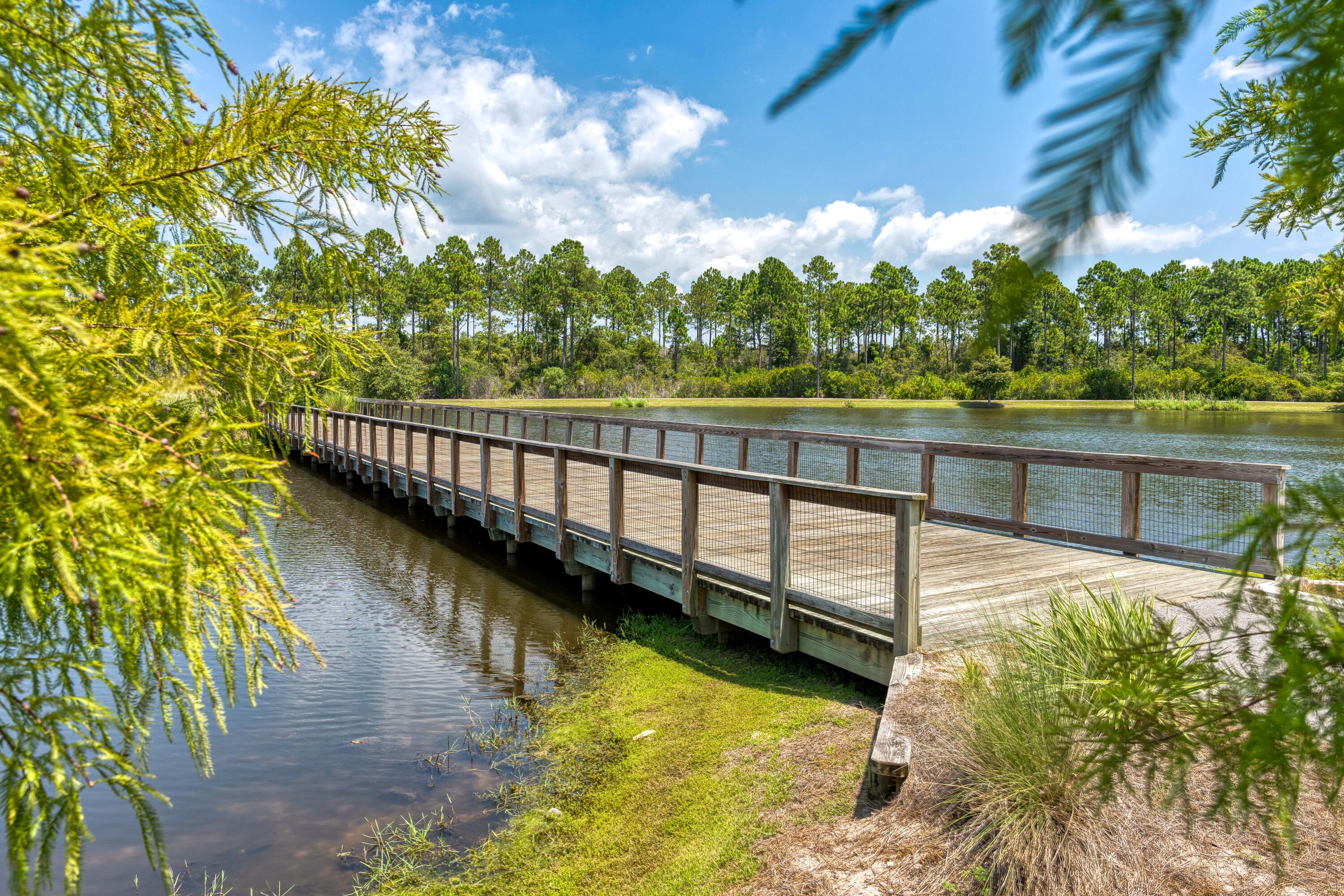 322 Jack Knife Drive Watersound FL 32461