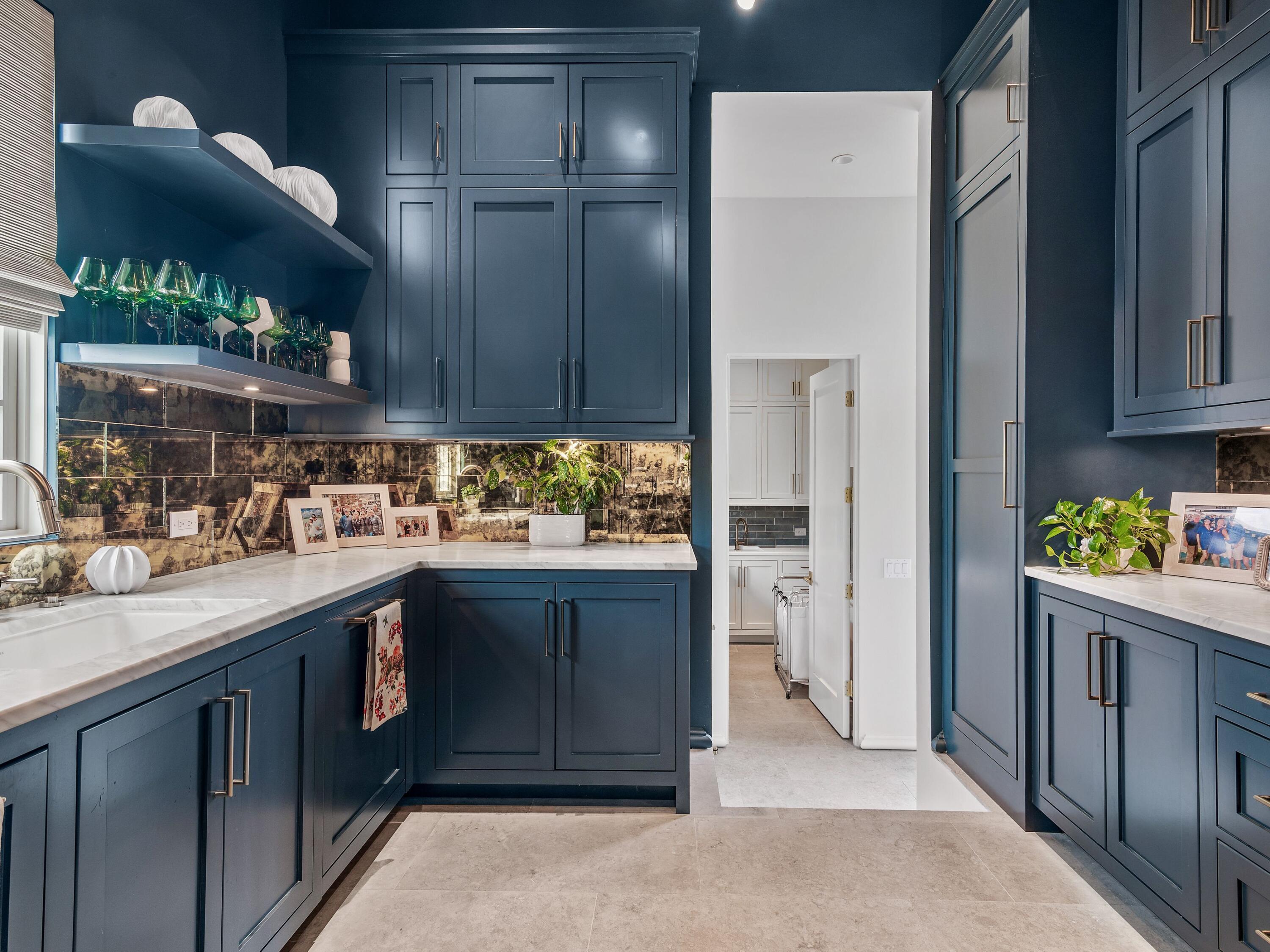 71 Norman Court Watersound FL 32461